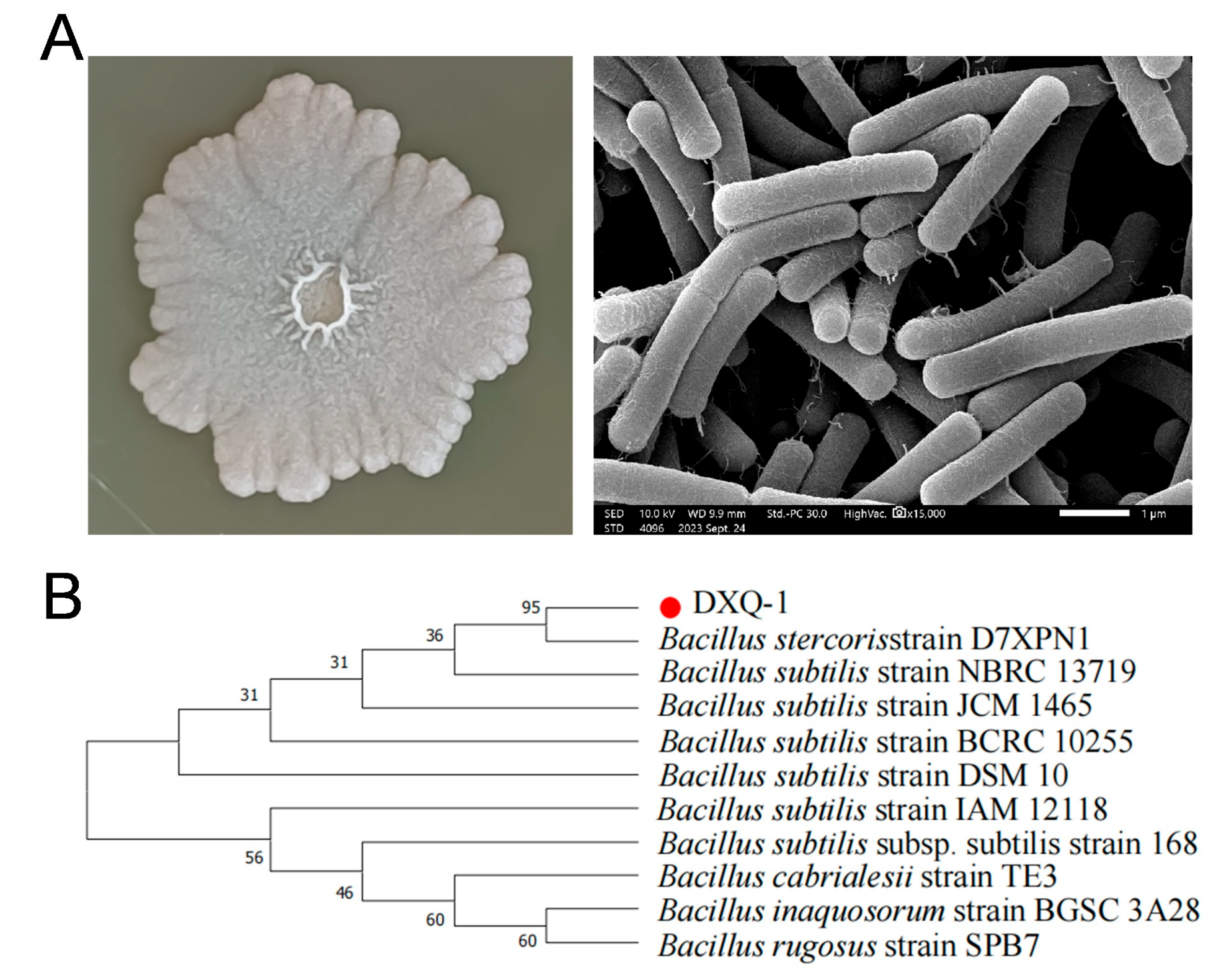 Microorganisms 13 01538 g001