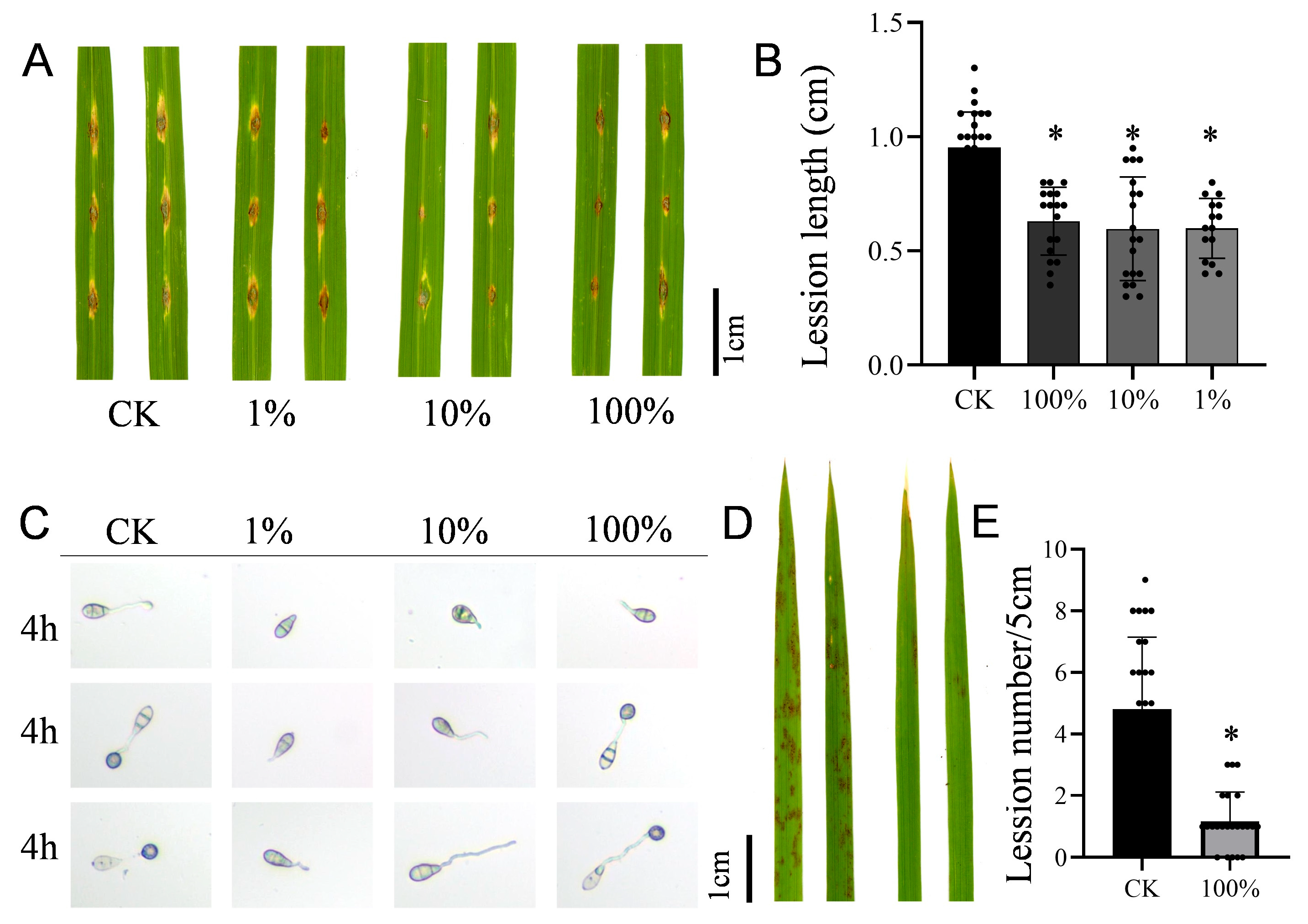 Microorganisms 13 01538 g003