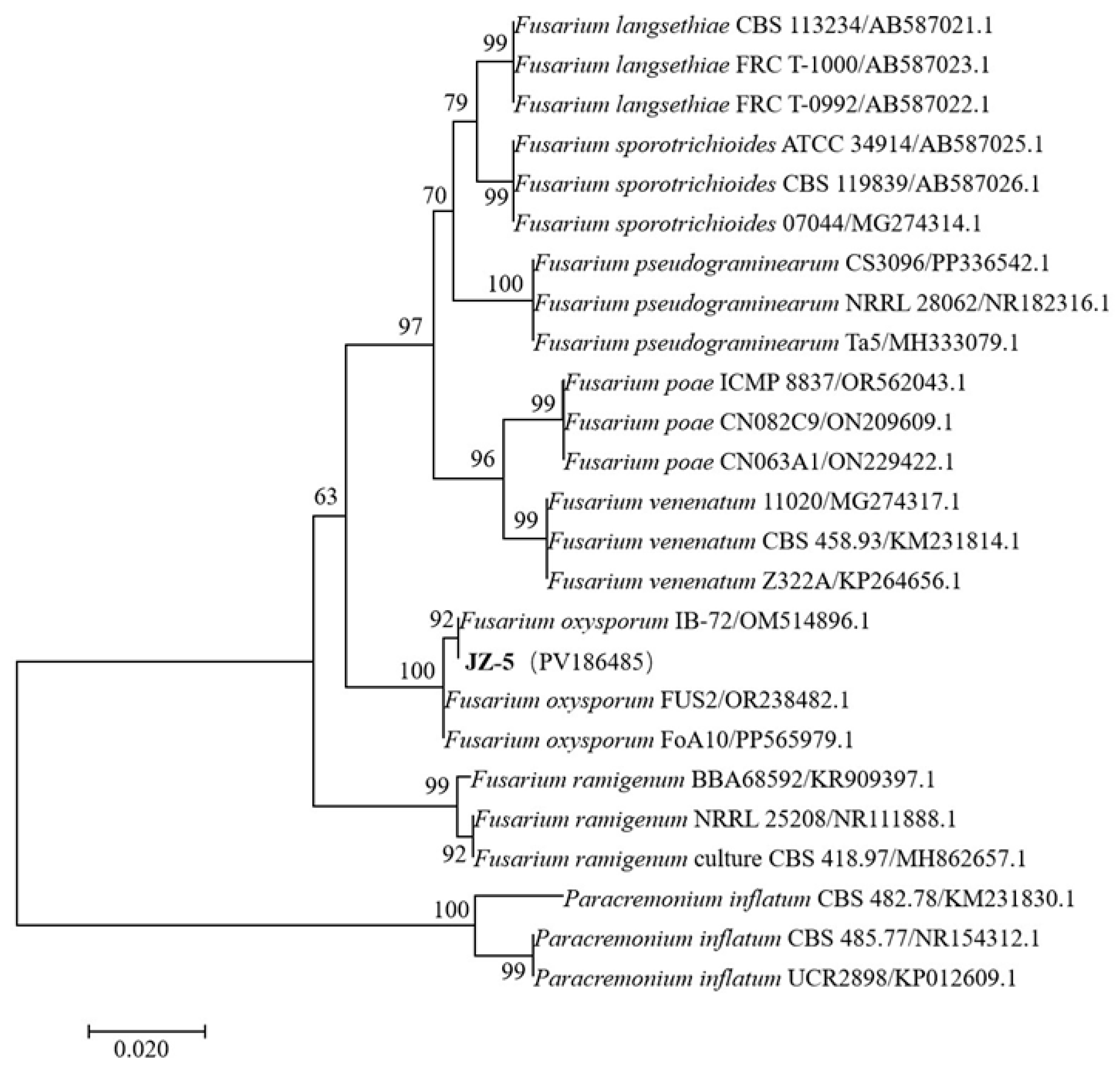 Microorganisms 13 01541 g005
