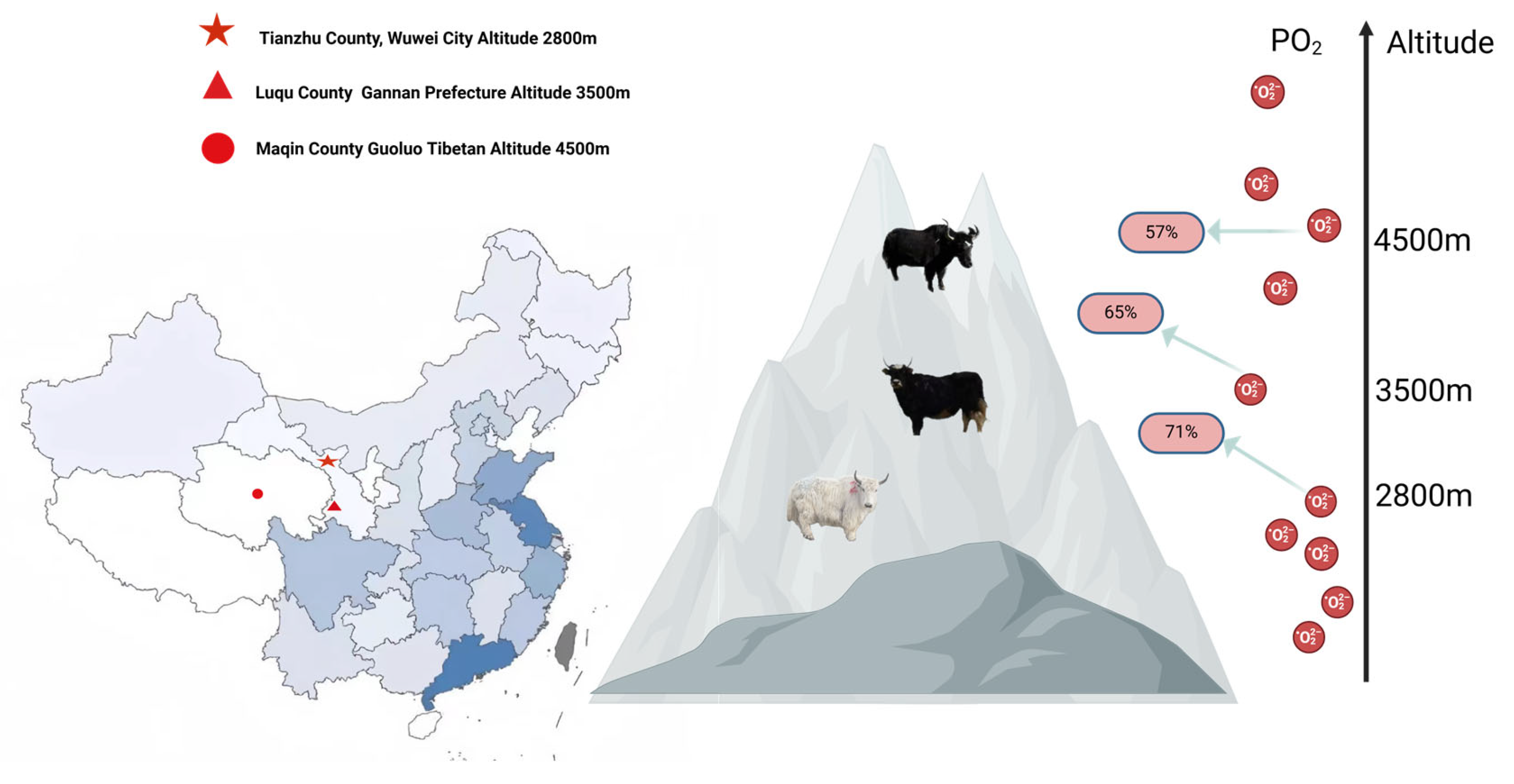 Microorganisms 13 01543 g001
