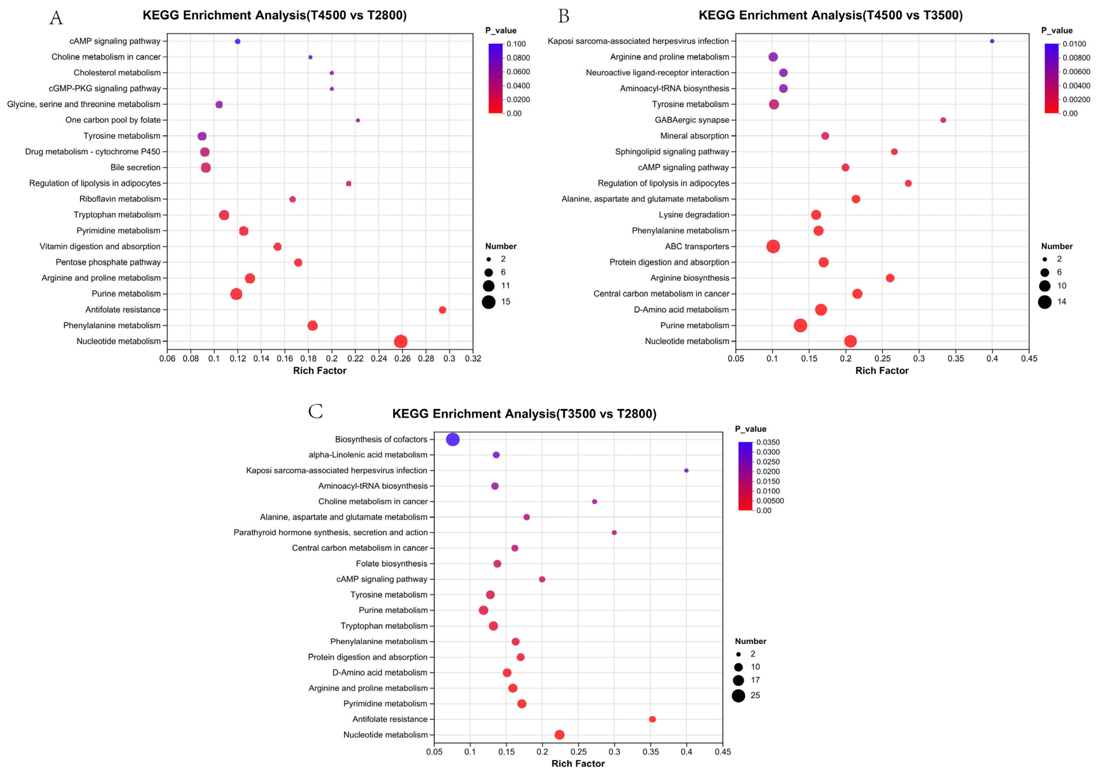 Microorganisms 13 01543 g008
