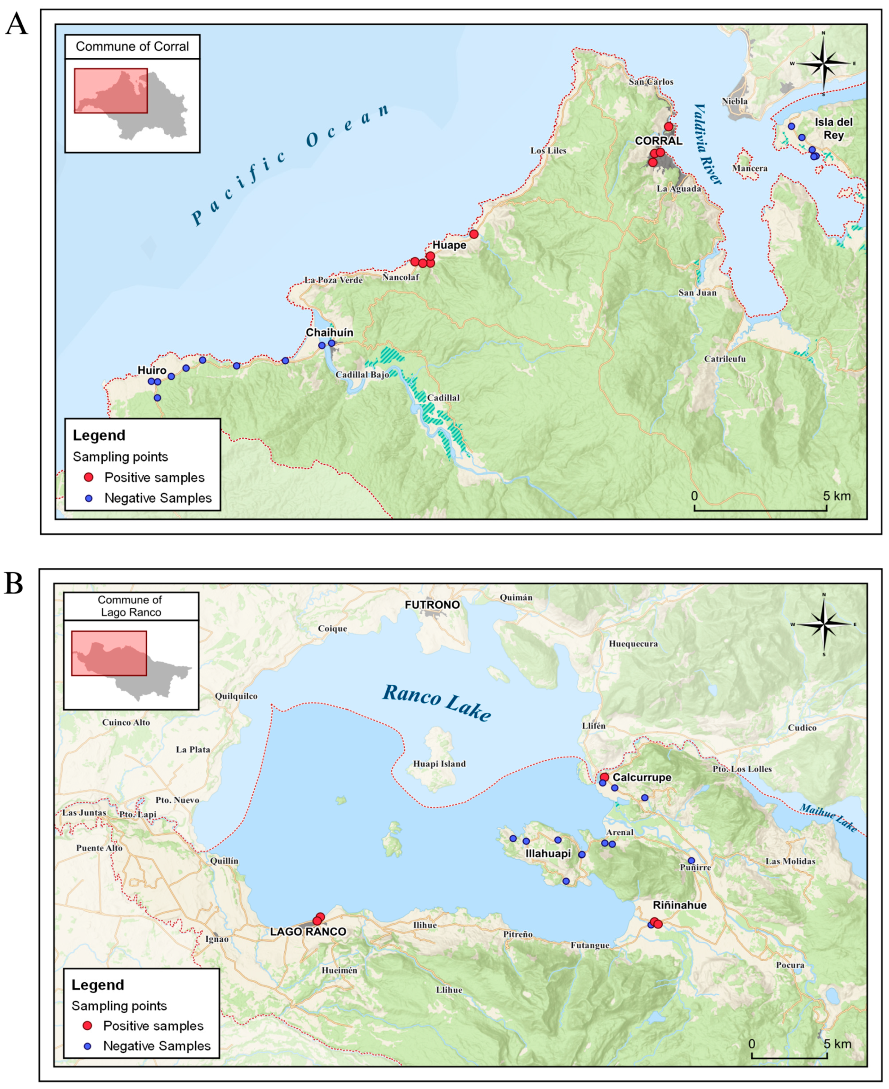 Microorganisms 13 01549 g005