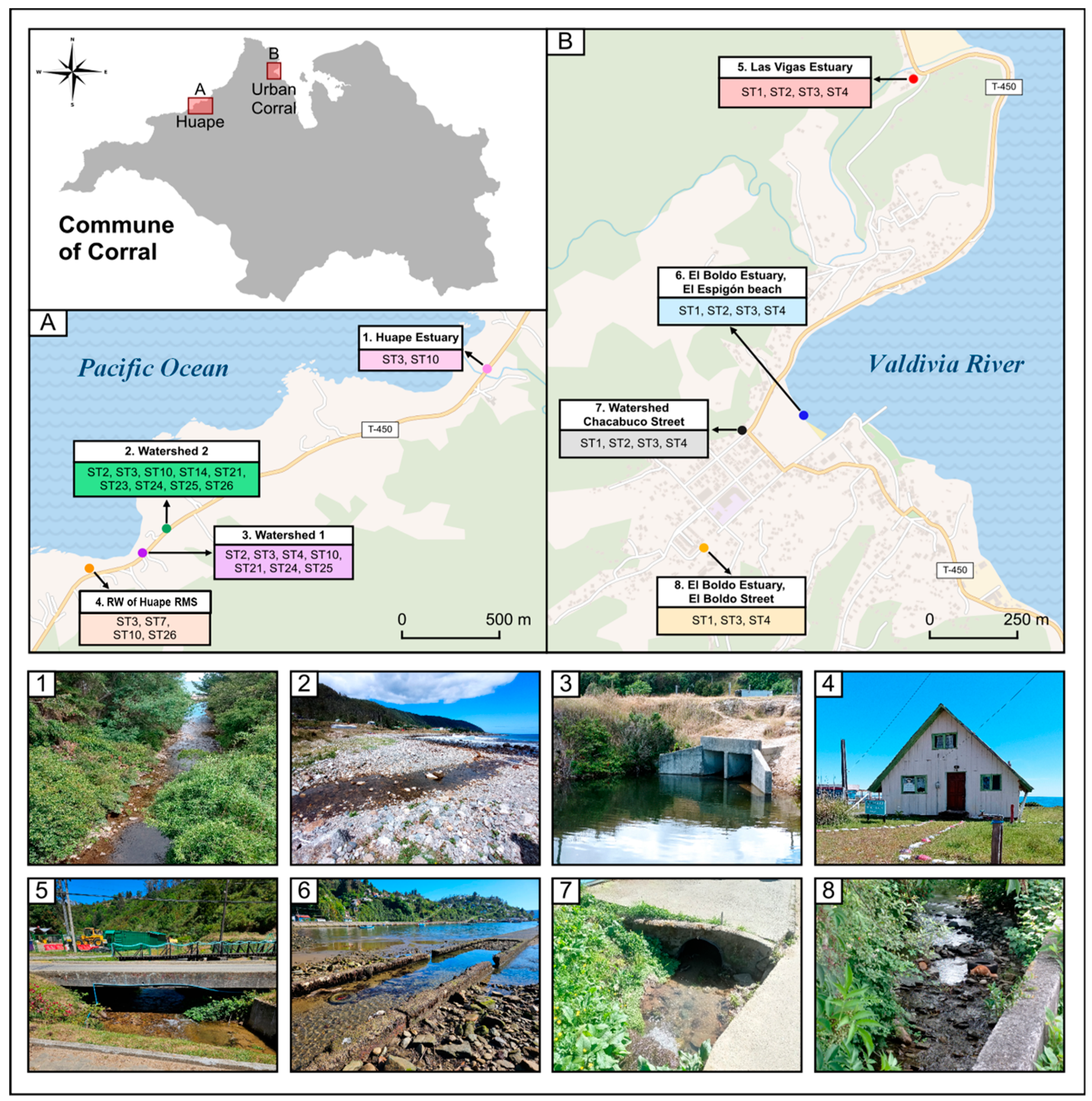 Microorganisms 13 01549 g008