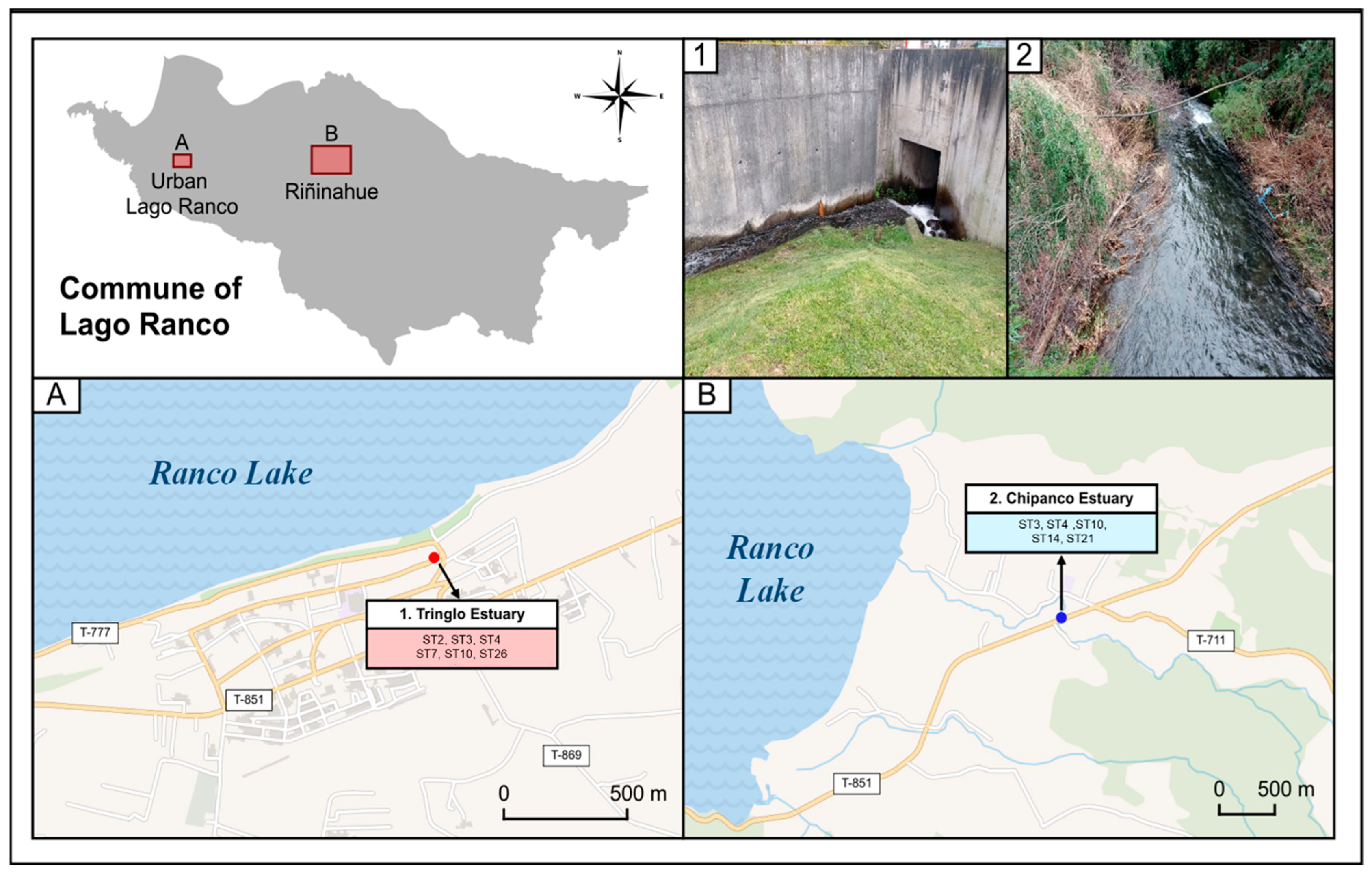 Microorganisms 13 01549 g009