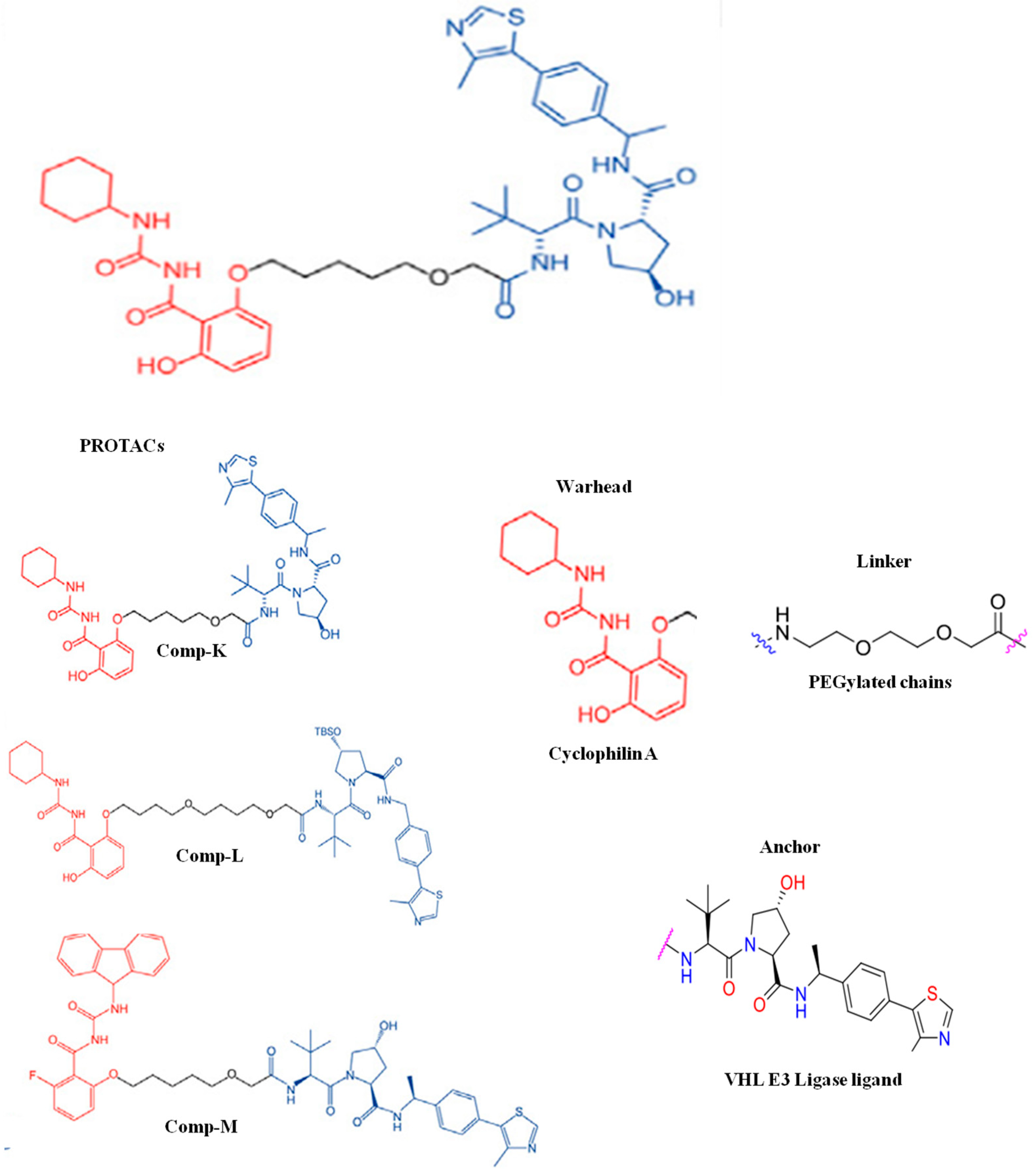 Microorganisms 13 01557 g011