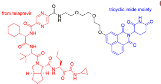 Microorganisms 13 01557 i001