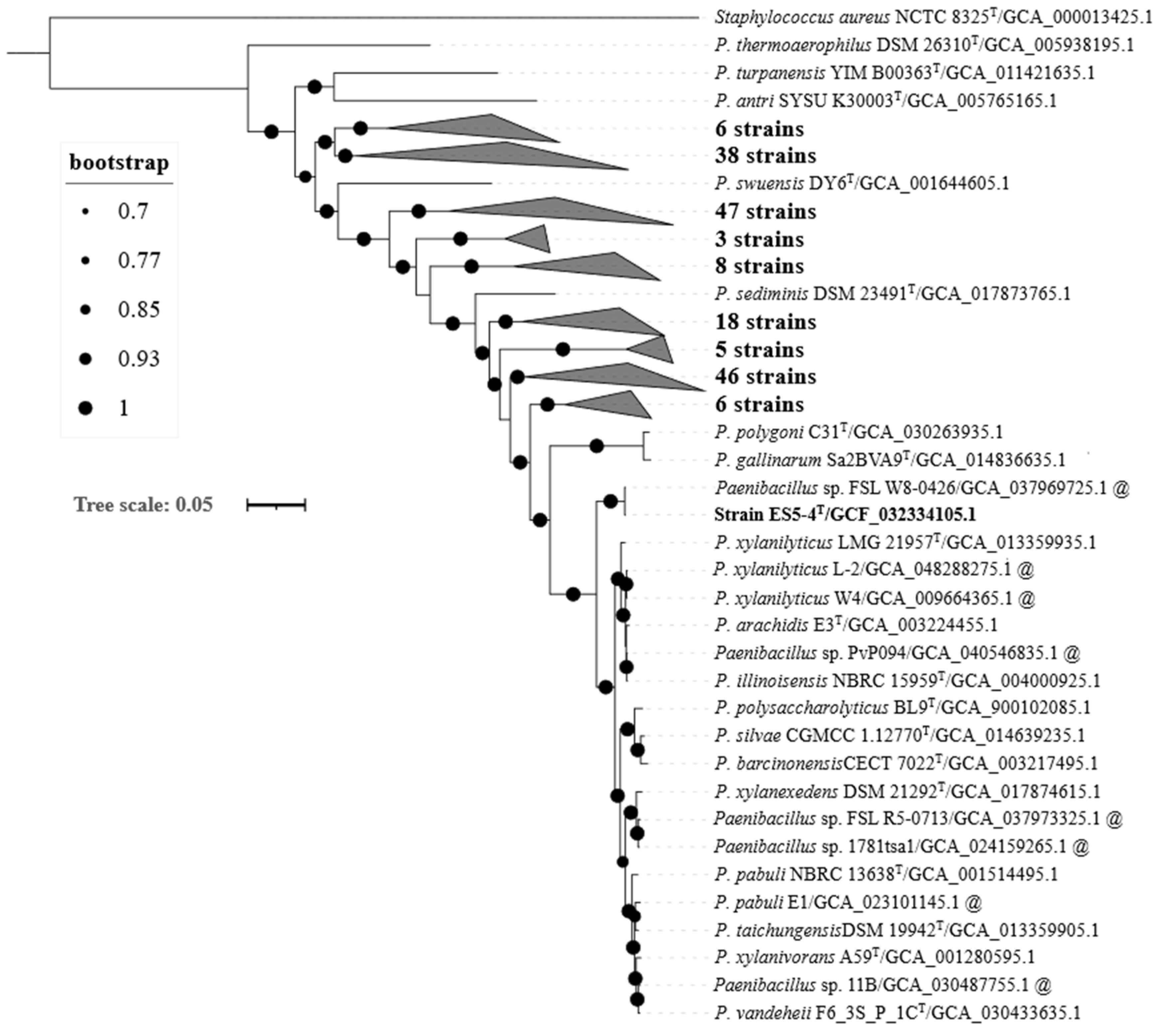 Microorganisms 13 01559 g002