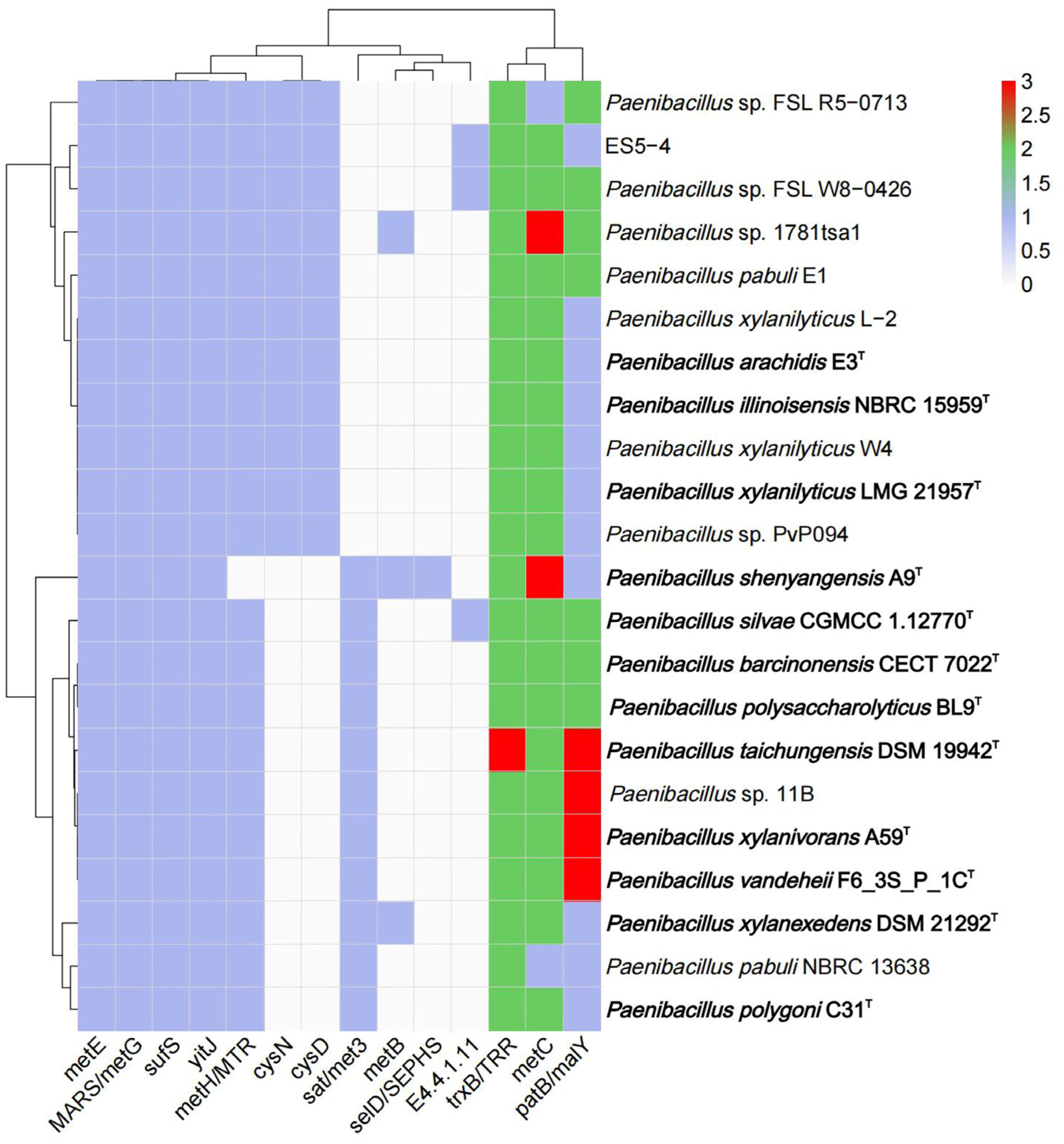 Microorganisms 13 01559 g005