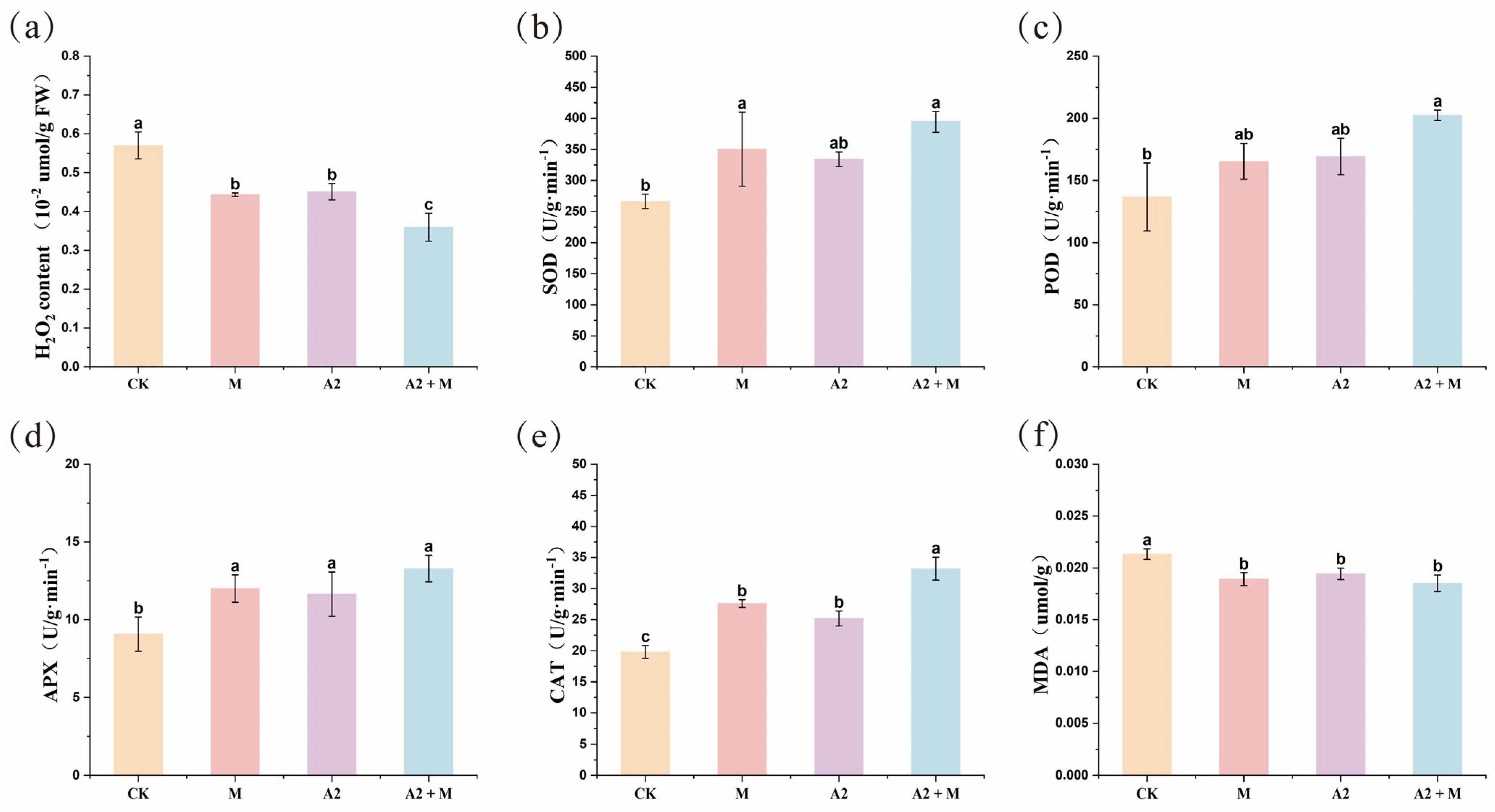 Microorganisms 13 01562 g001