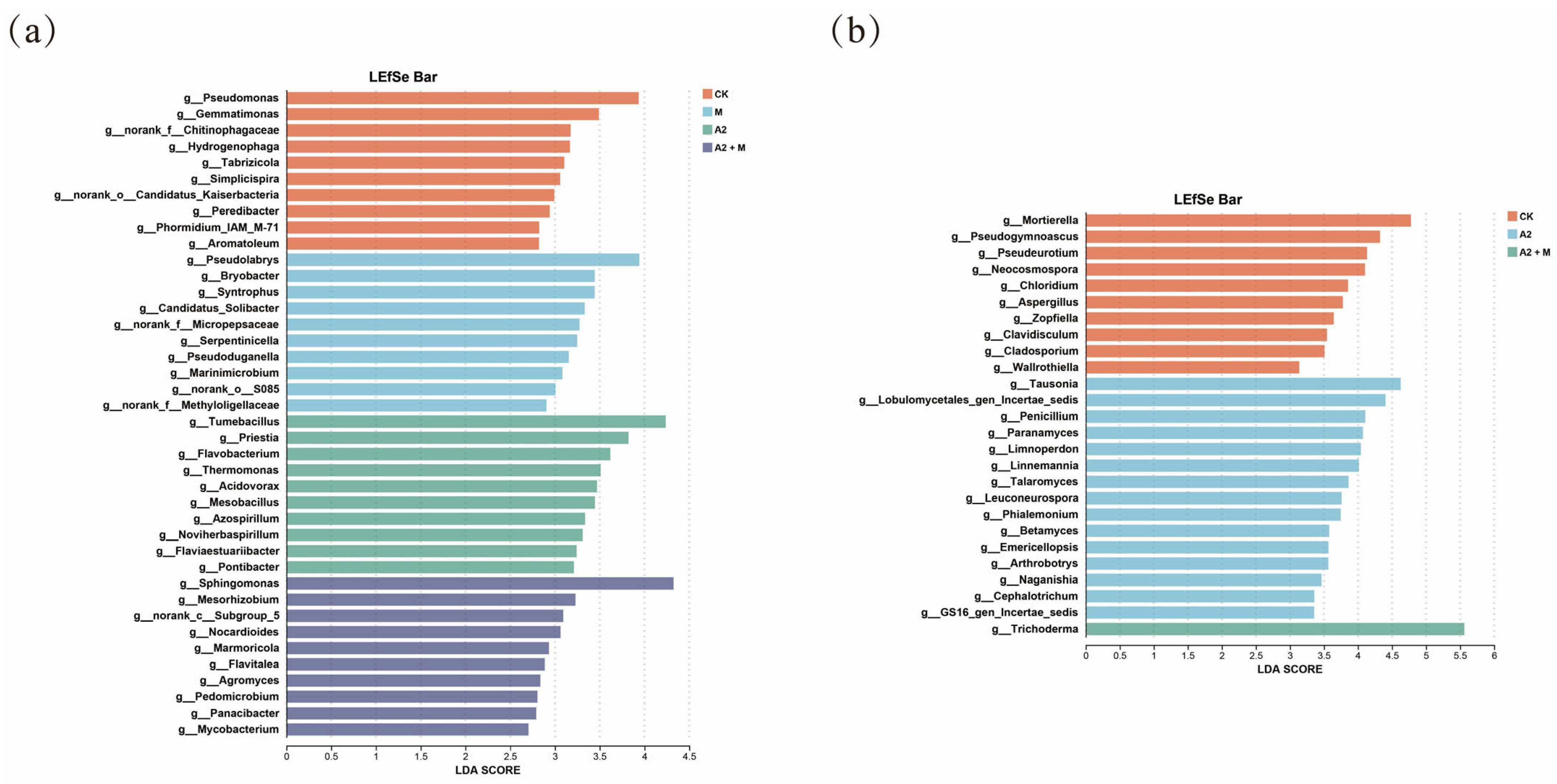 Microorganisms 13 01562 g006