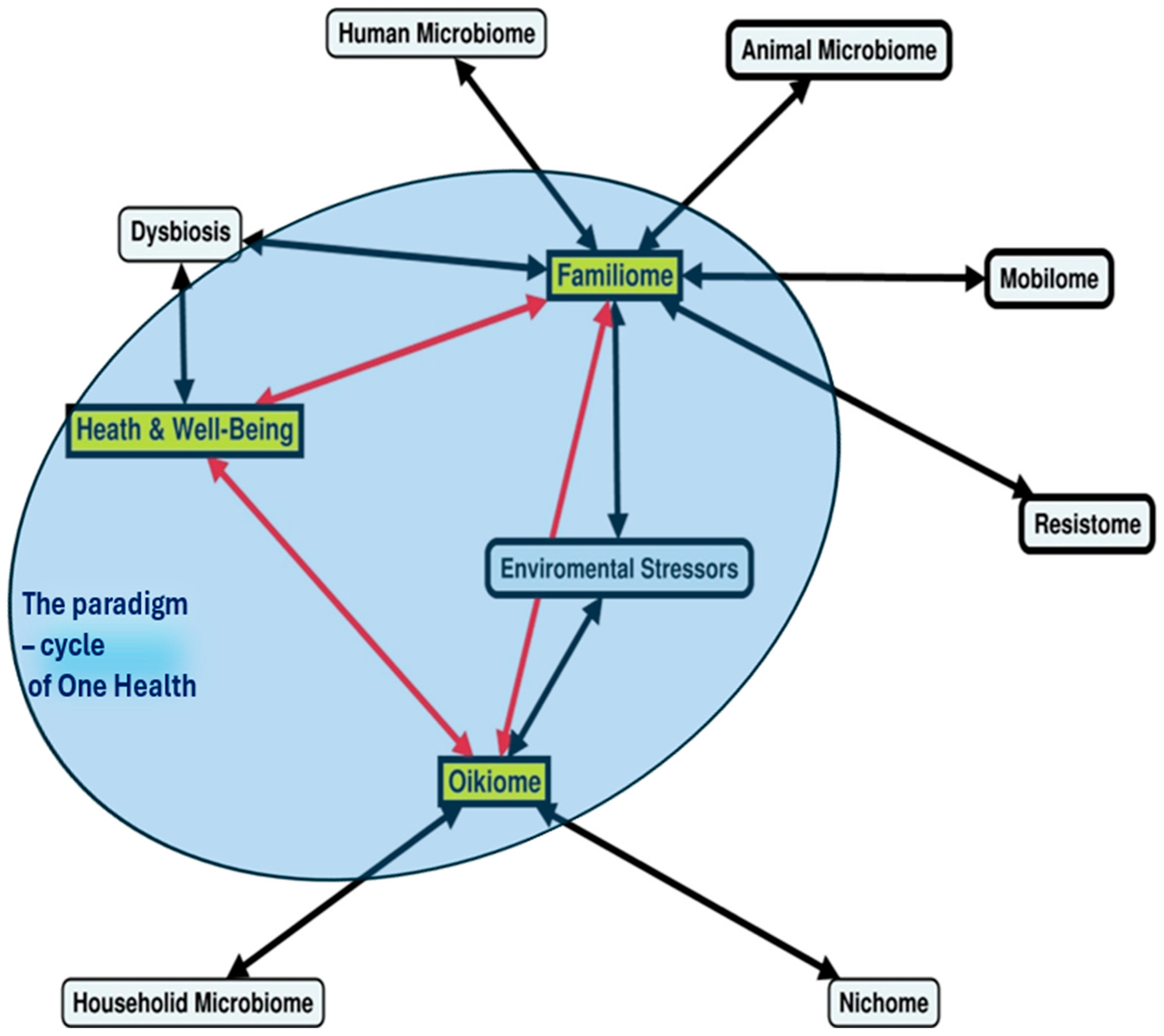 Microorganisms 13 01564 g001 Microorganisms 13 01564 g001