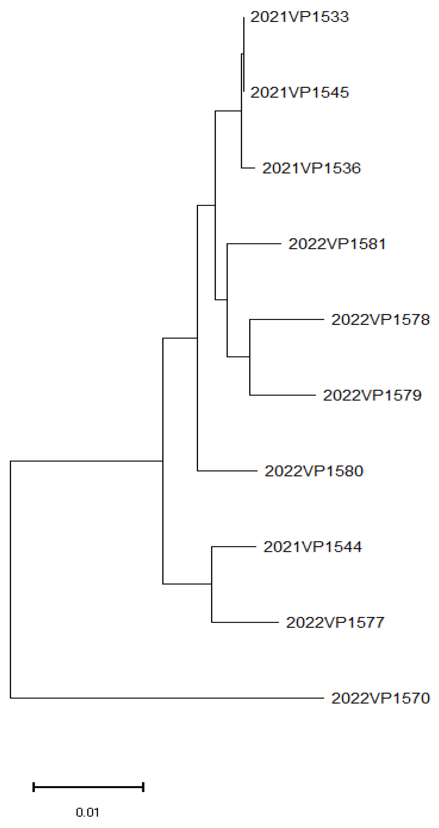 Microorganisms 13 01566 g001