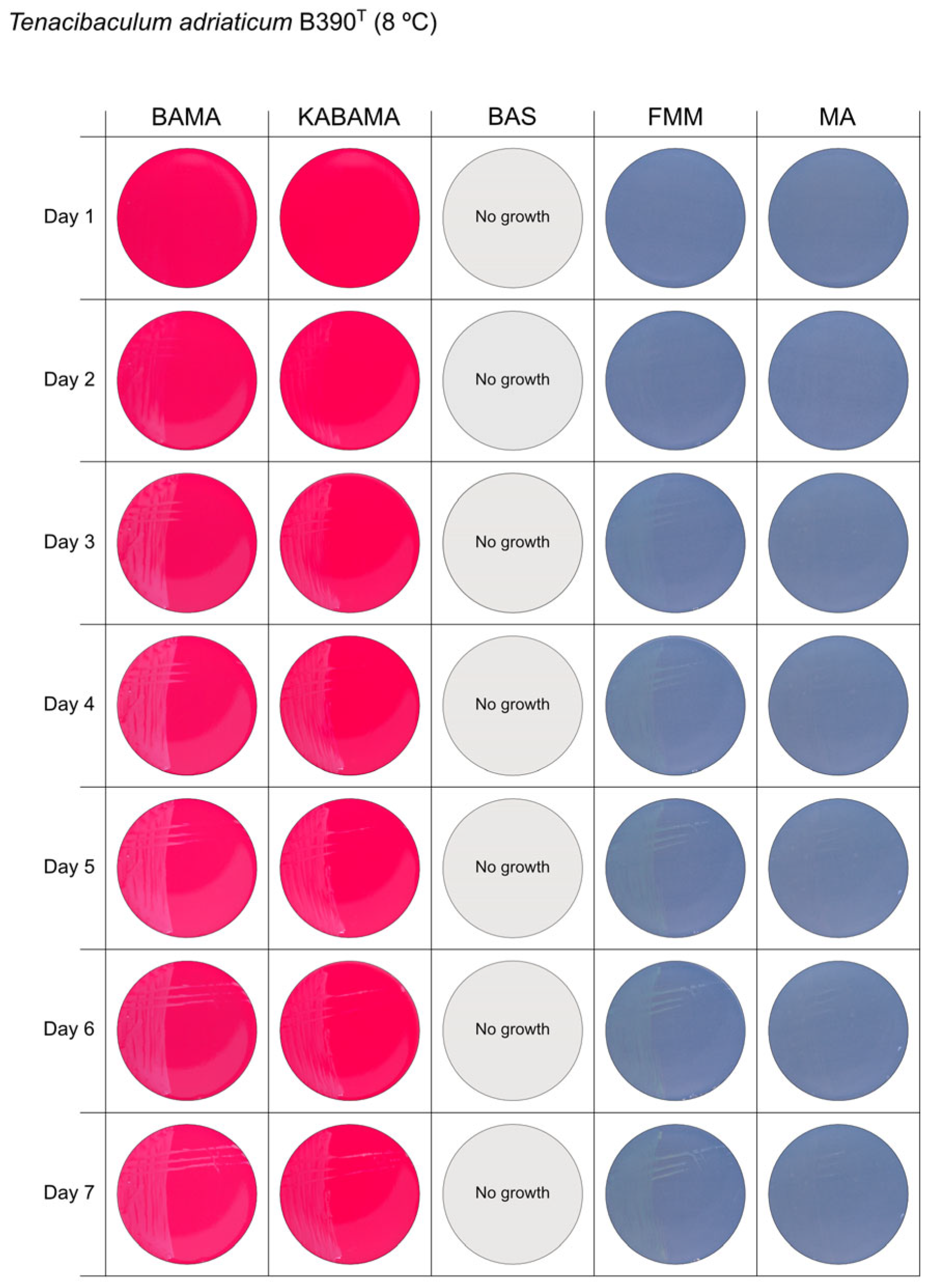 Microorganisms 13 01567 g001
