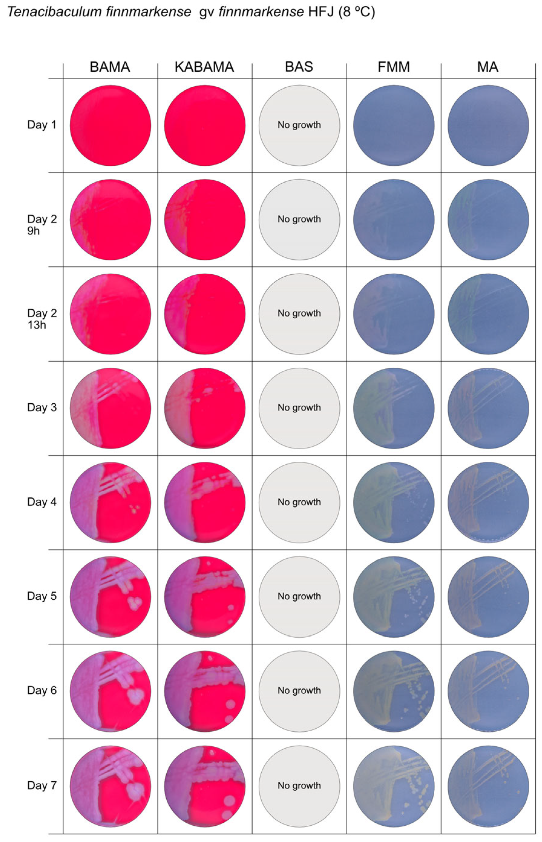 Microorganisms 13 01567 g003