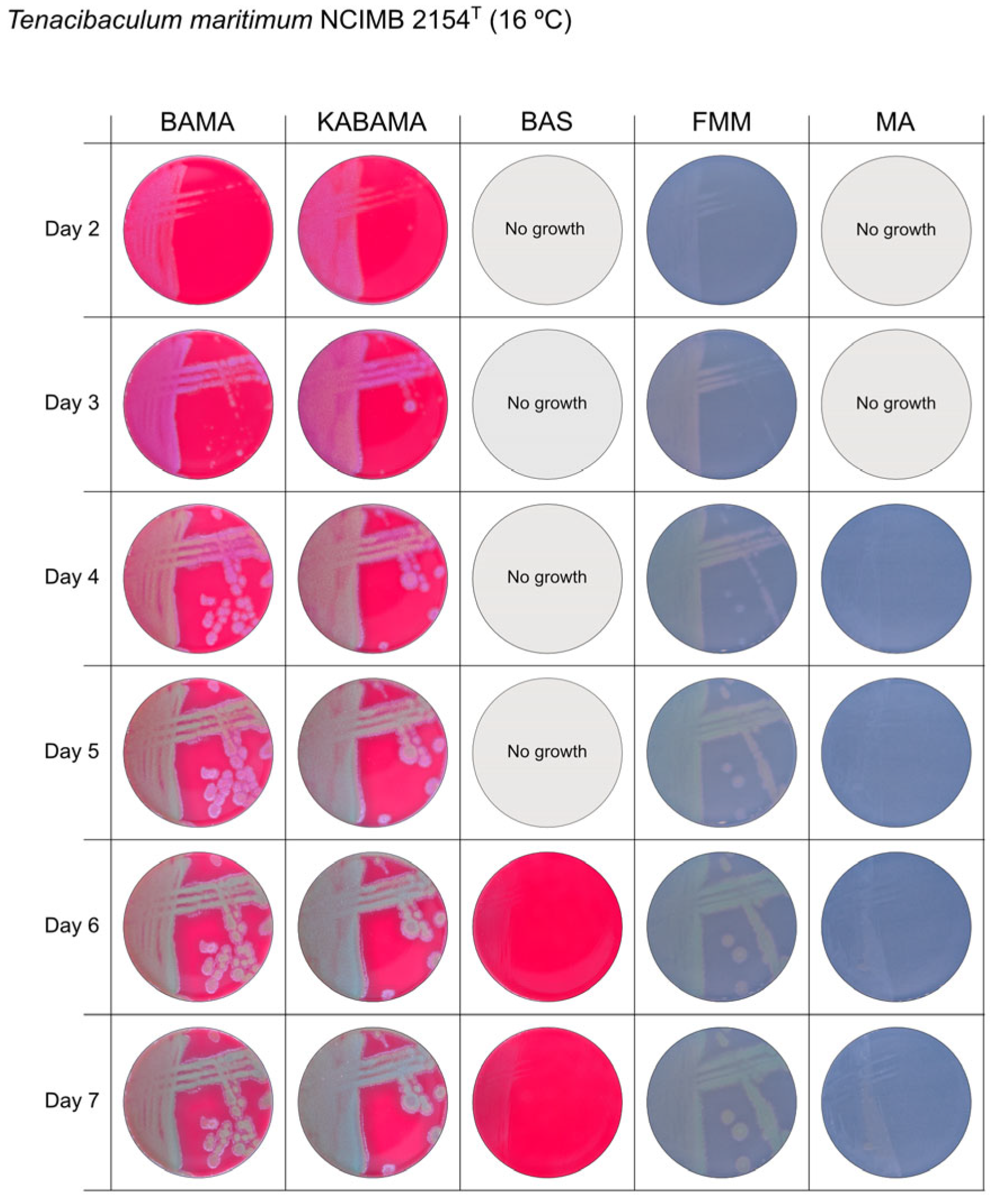 Microorganisms 13 01567 g005