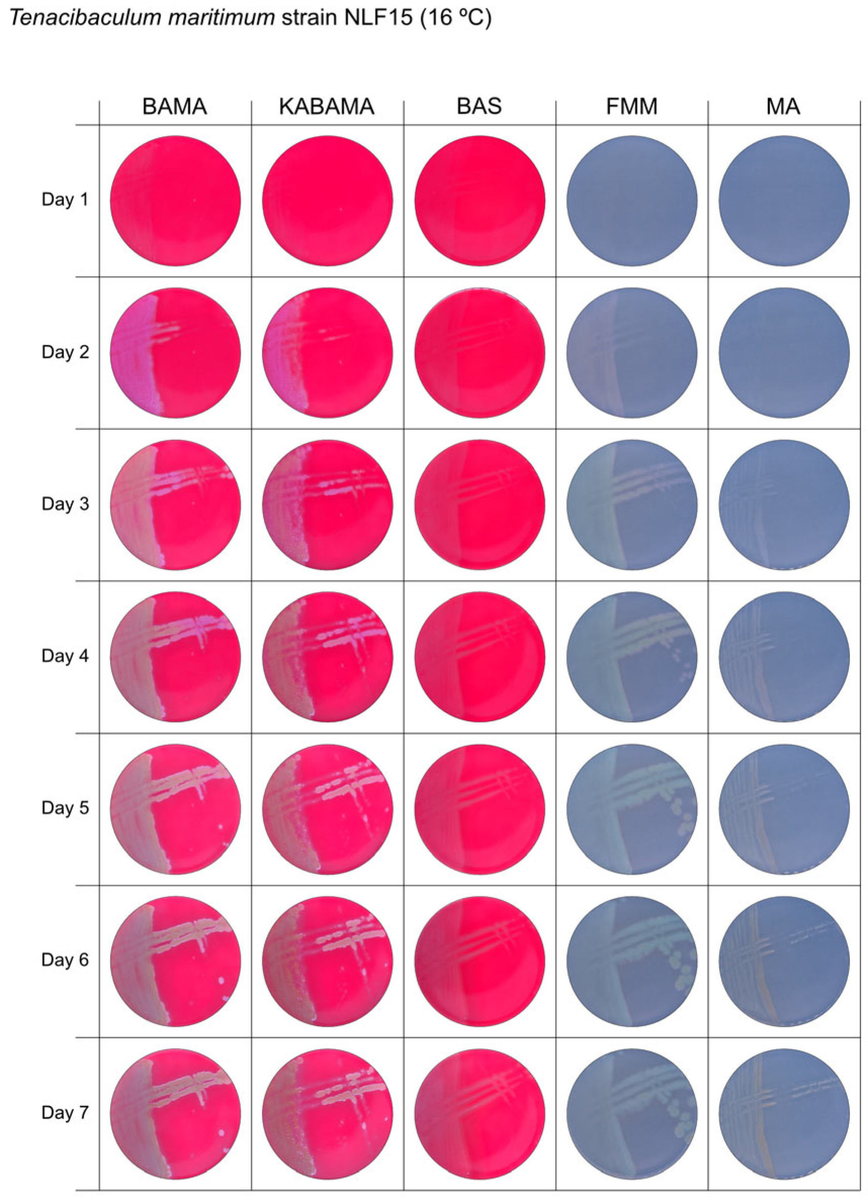 Microorganisms 13 01567 g007