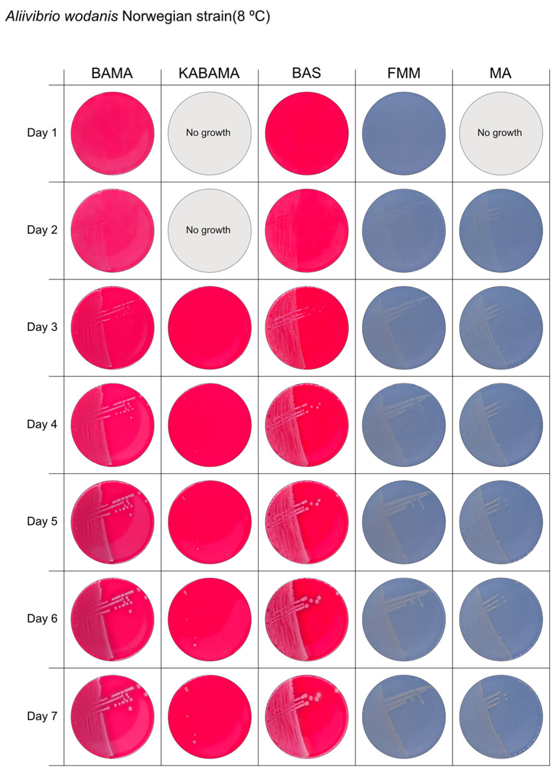 Microorganisms 13 01567 g012