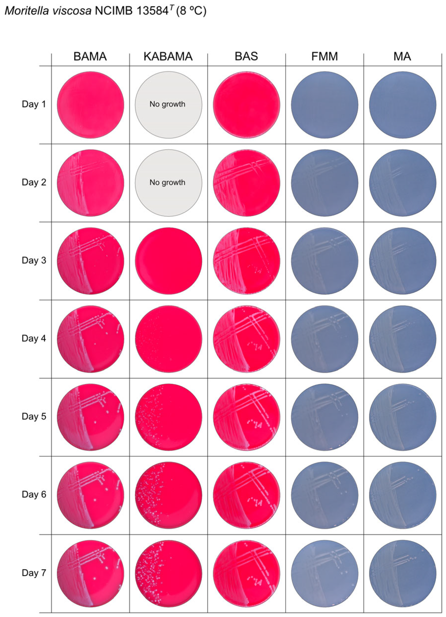 Microorganisms 13 01567 g013