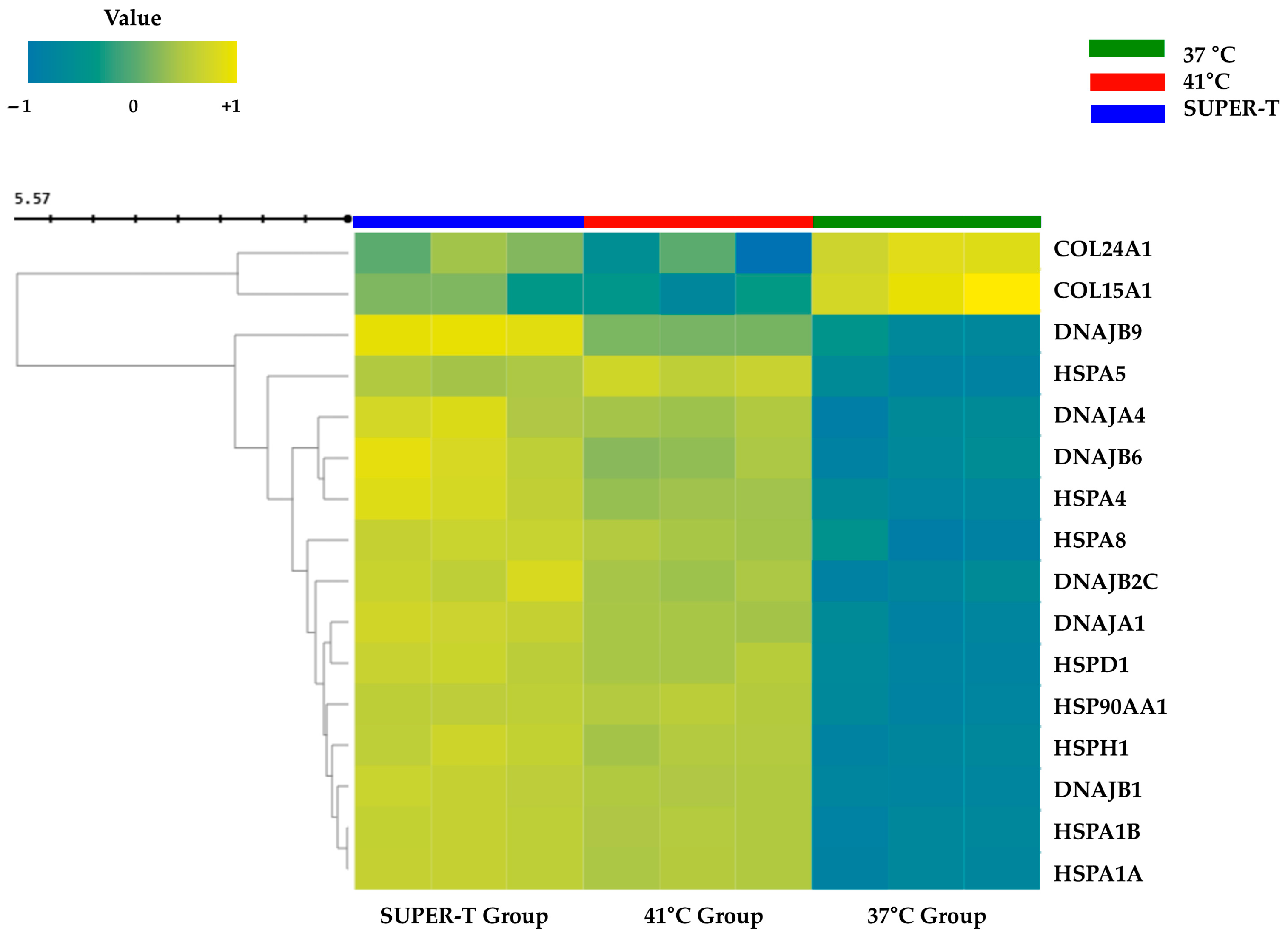 Microorganisms 13 01569 g004