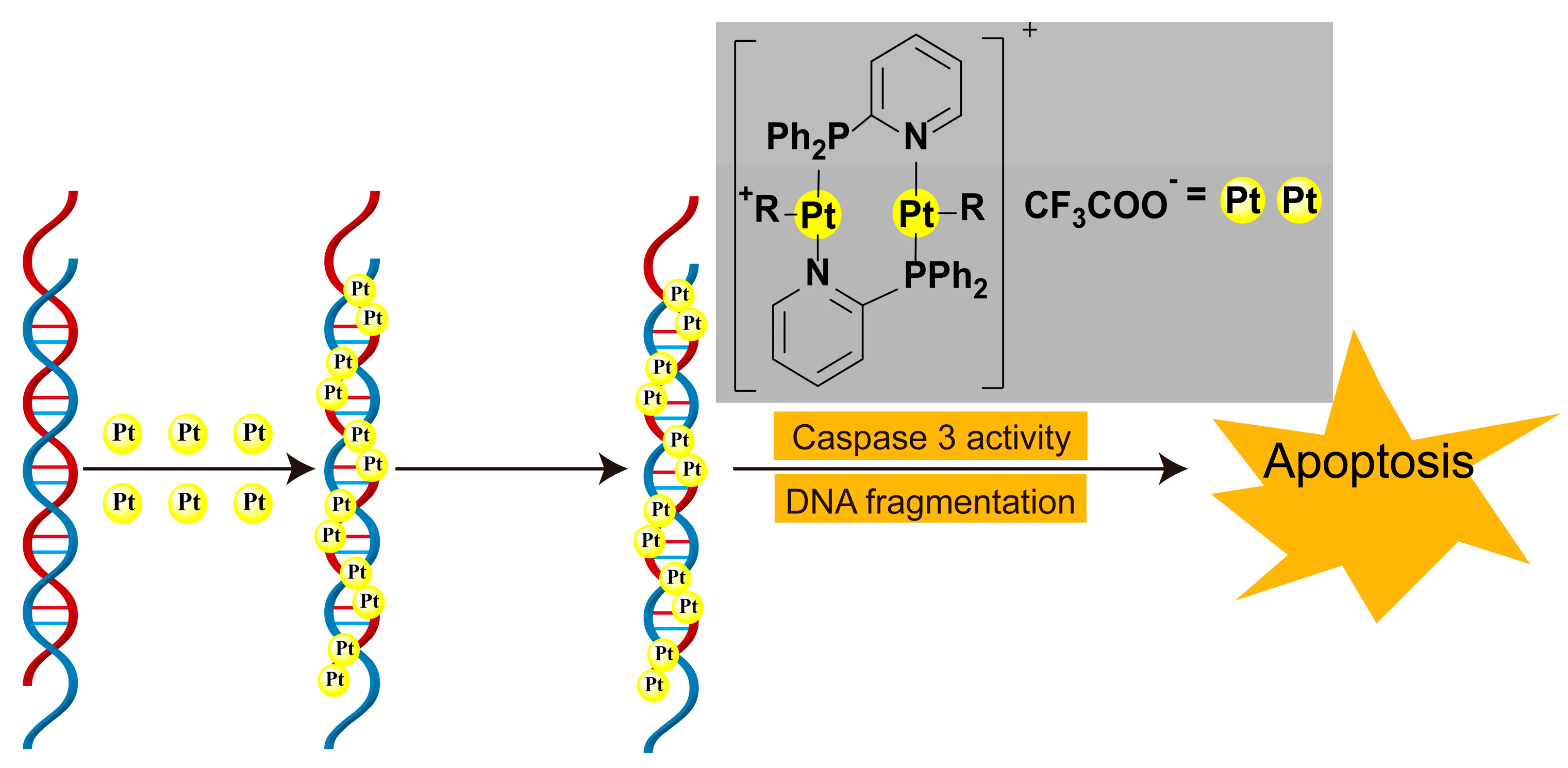 Microorganisms 13 01570 g006