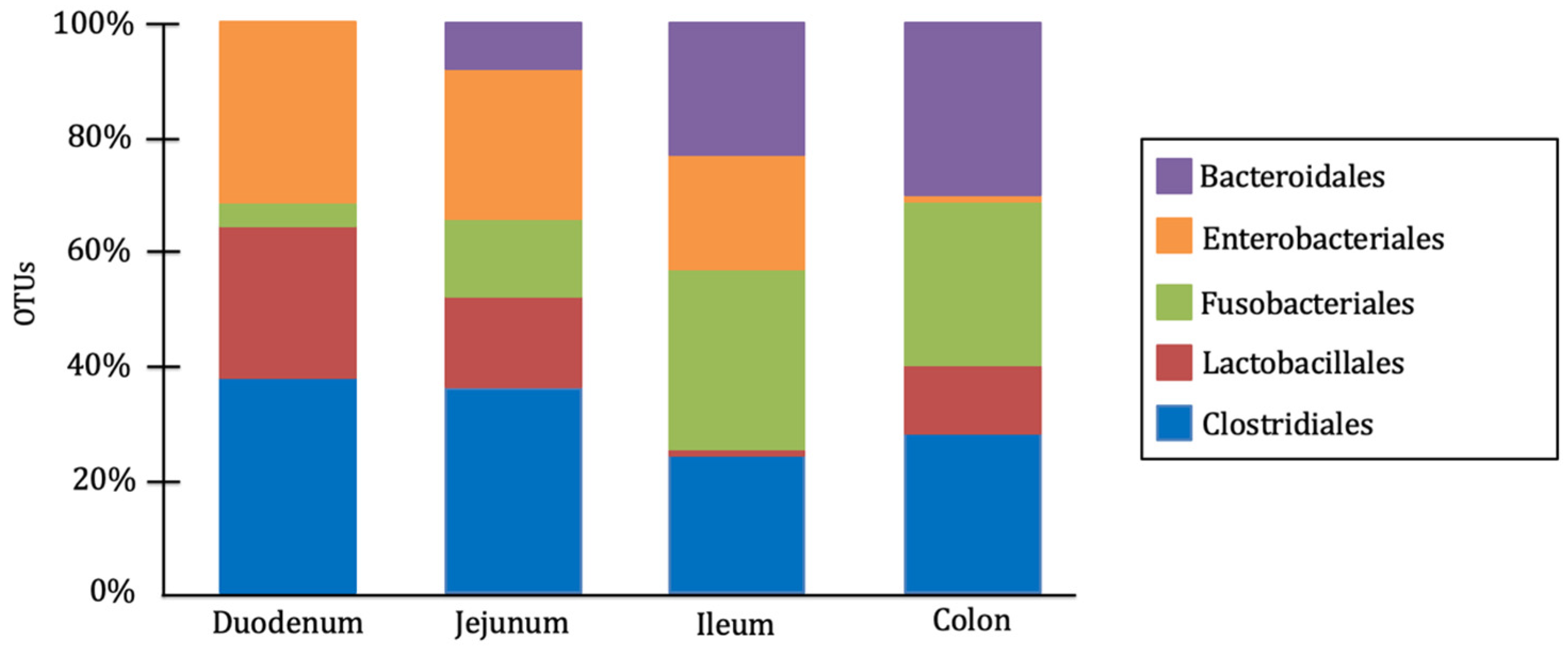 Microorganisms 13 01572 g001