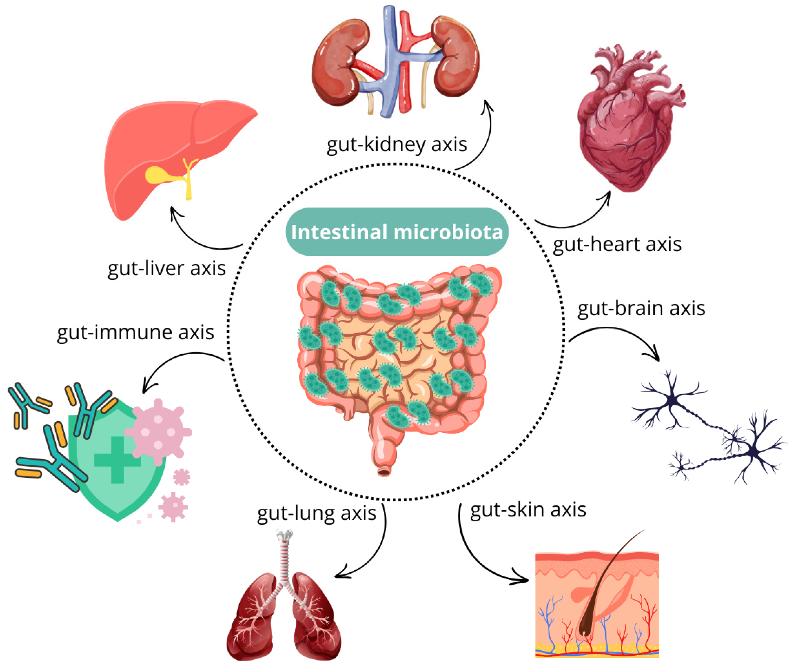 Microorganisms 13 01572 g002