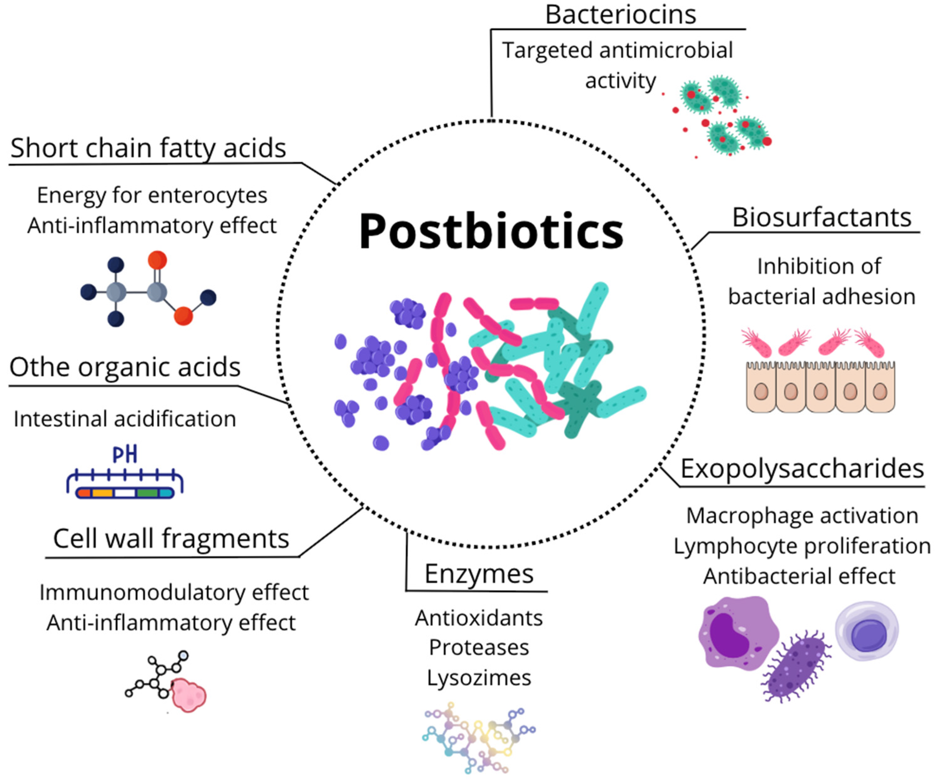 Microorganisms 13 01572 g006