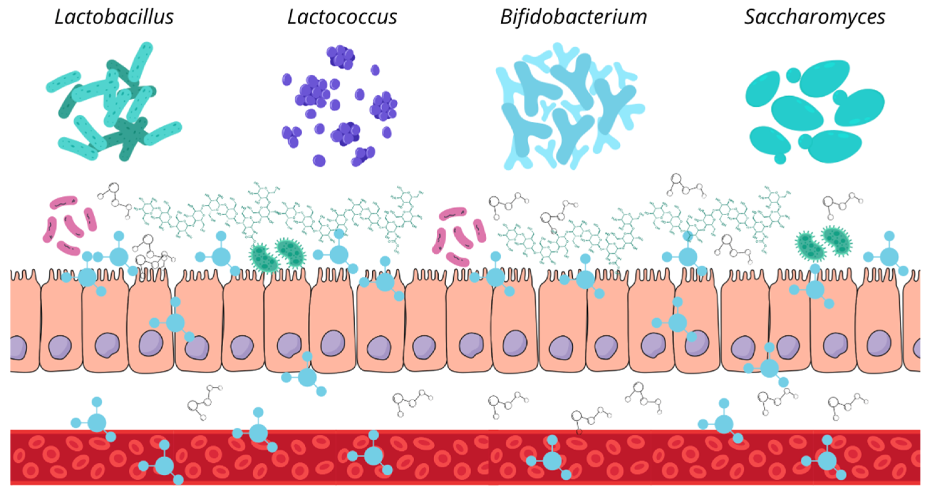 Microorganisms 13 01572 g008