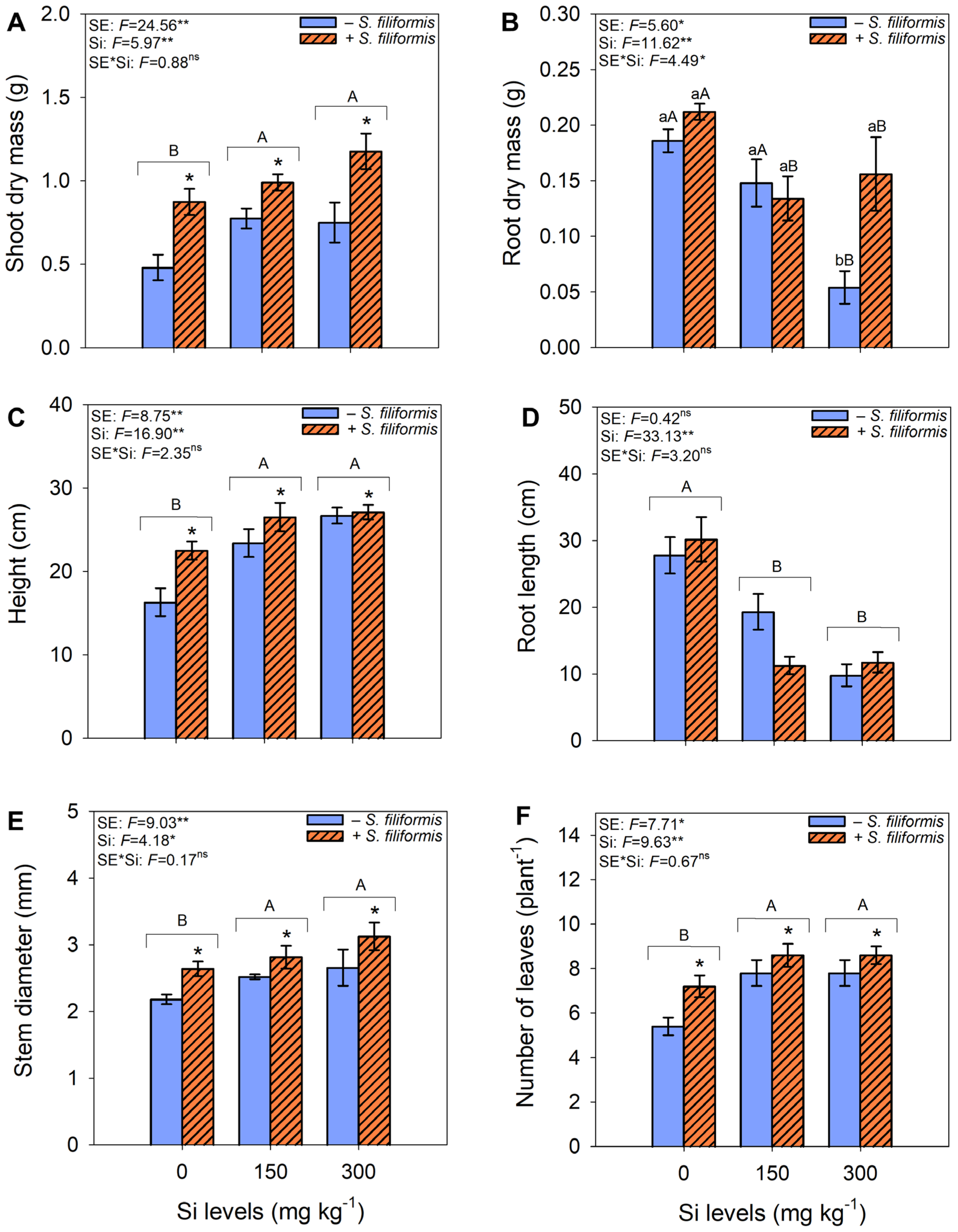 Microorganisms 13 01581 g002 Microorganisms 13 01581 g002