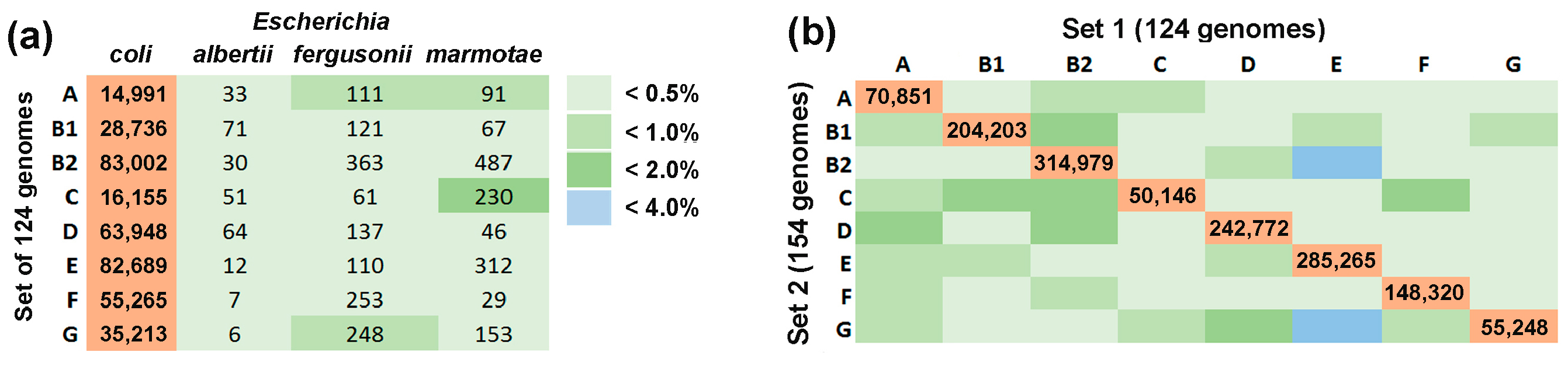 Microorganisms 13 01584 g002