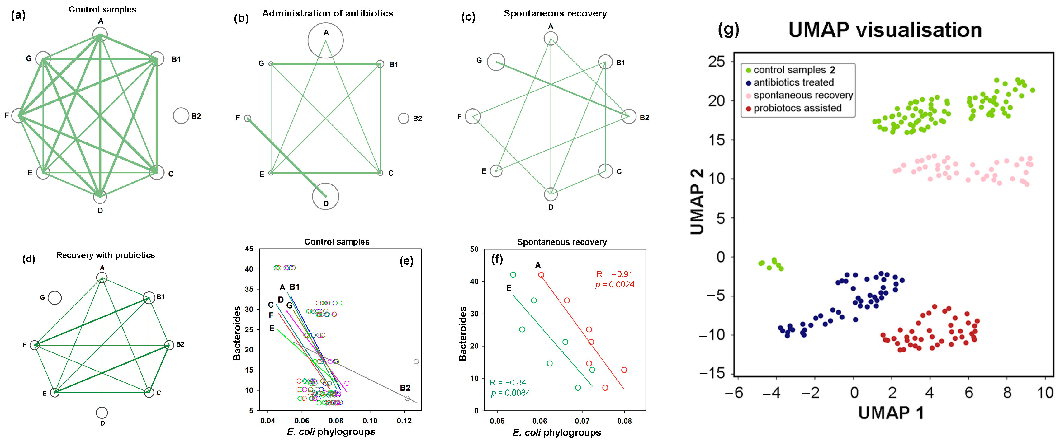 Microorganisms 13 01584 g007