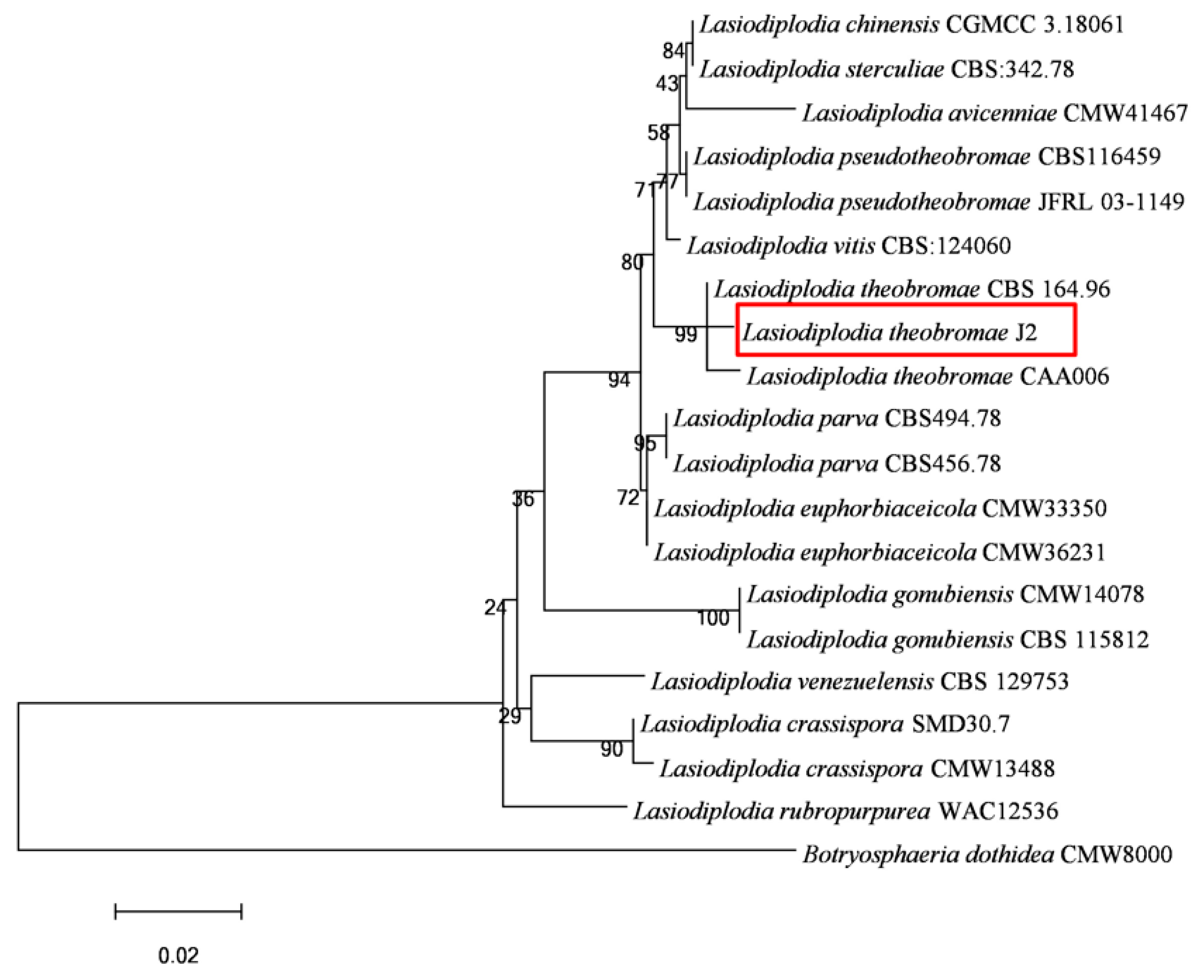 Microorganisms 13 01586 g004 Microorganisms 13 01586 g004