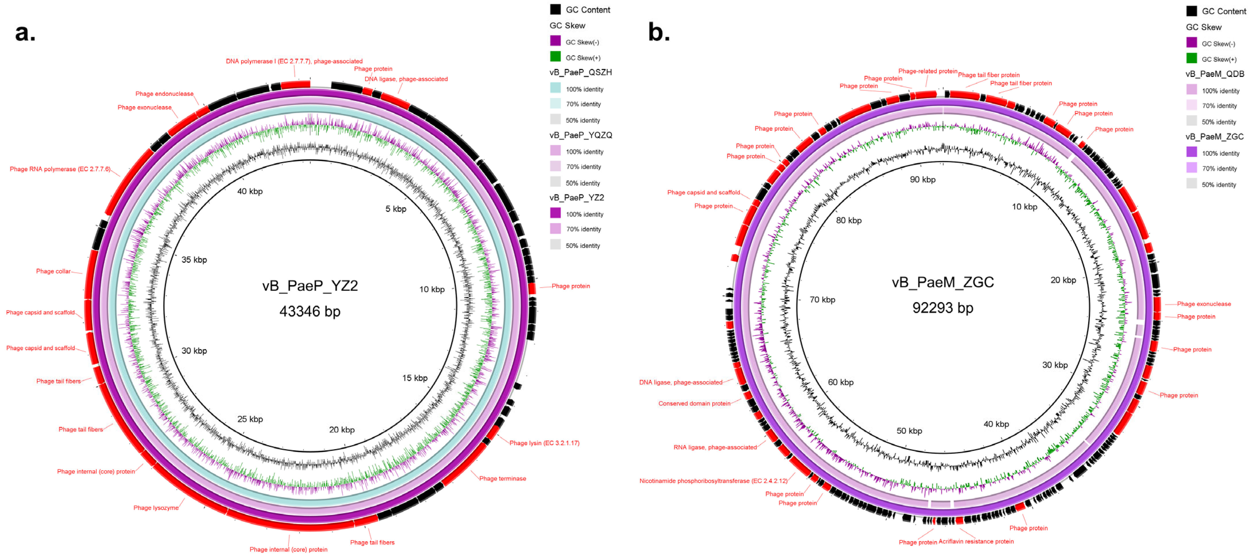 Microorganisms 13 01587 g005