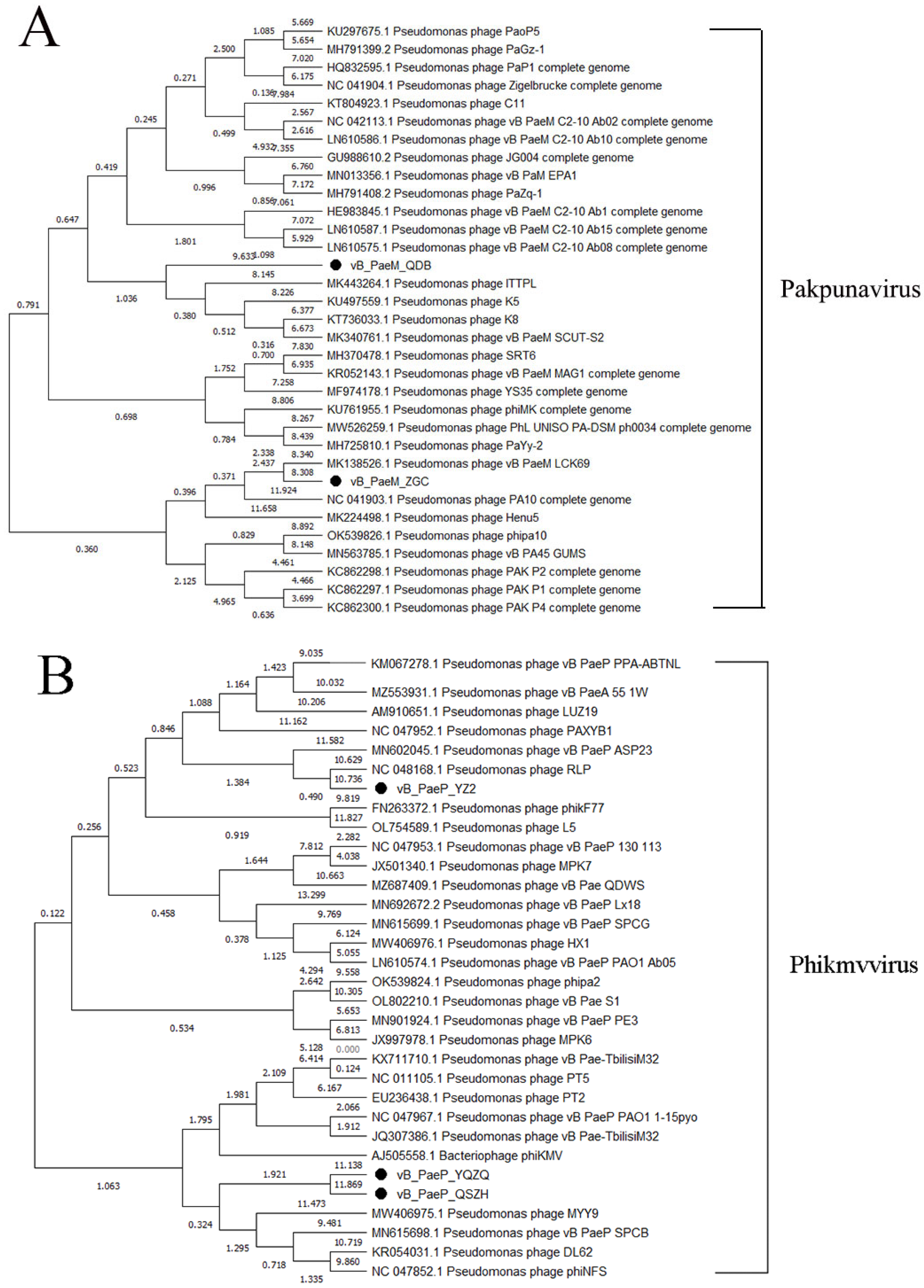 Microorganisms 13 01587 g006