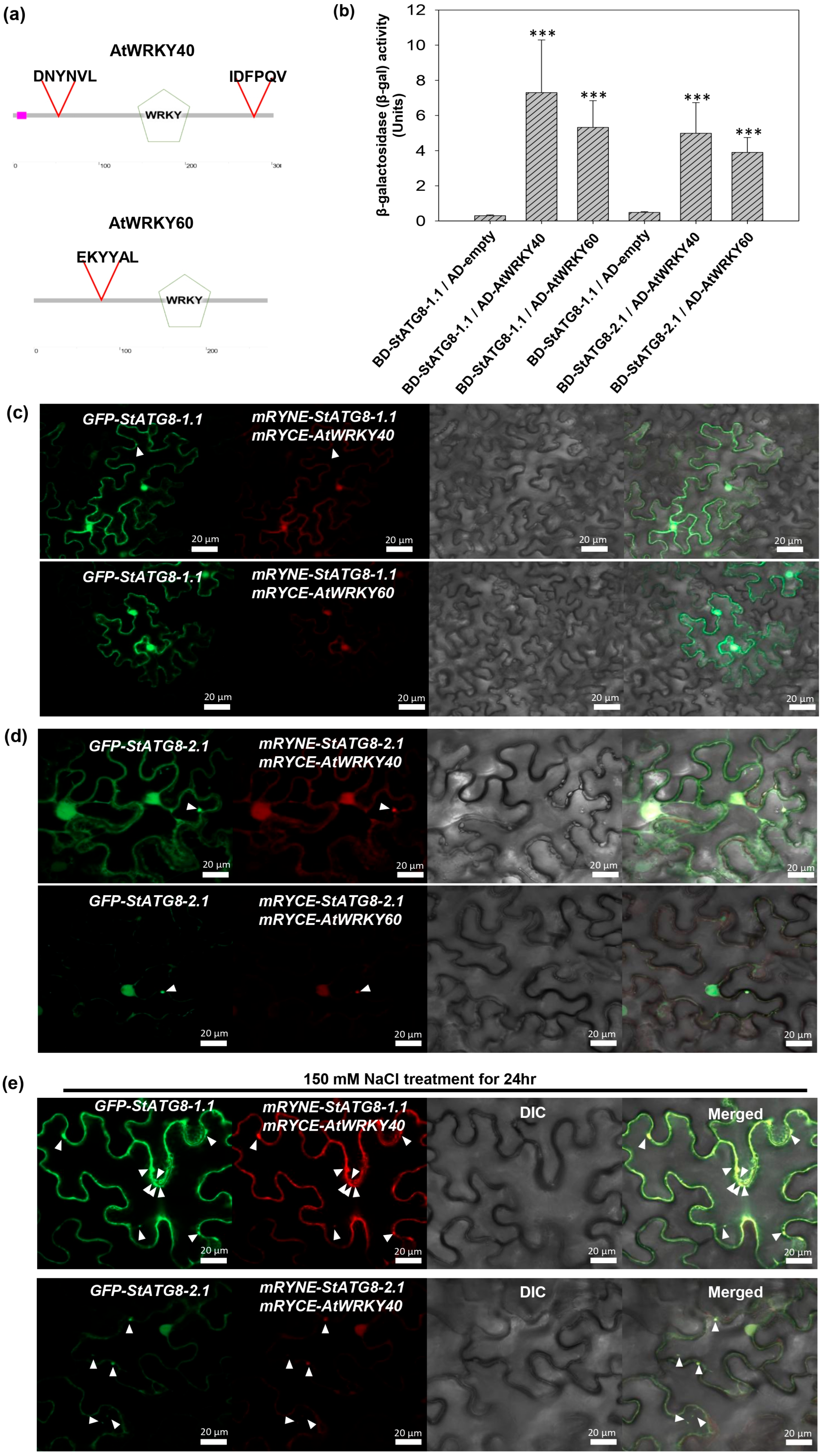 Microorganisms 13 01589 g006