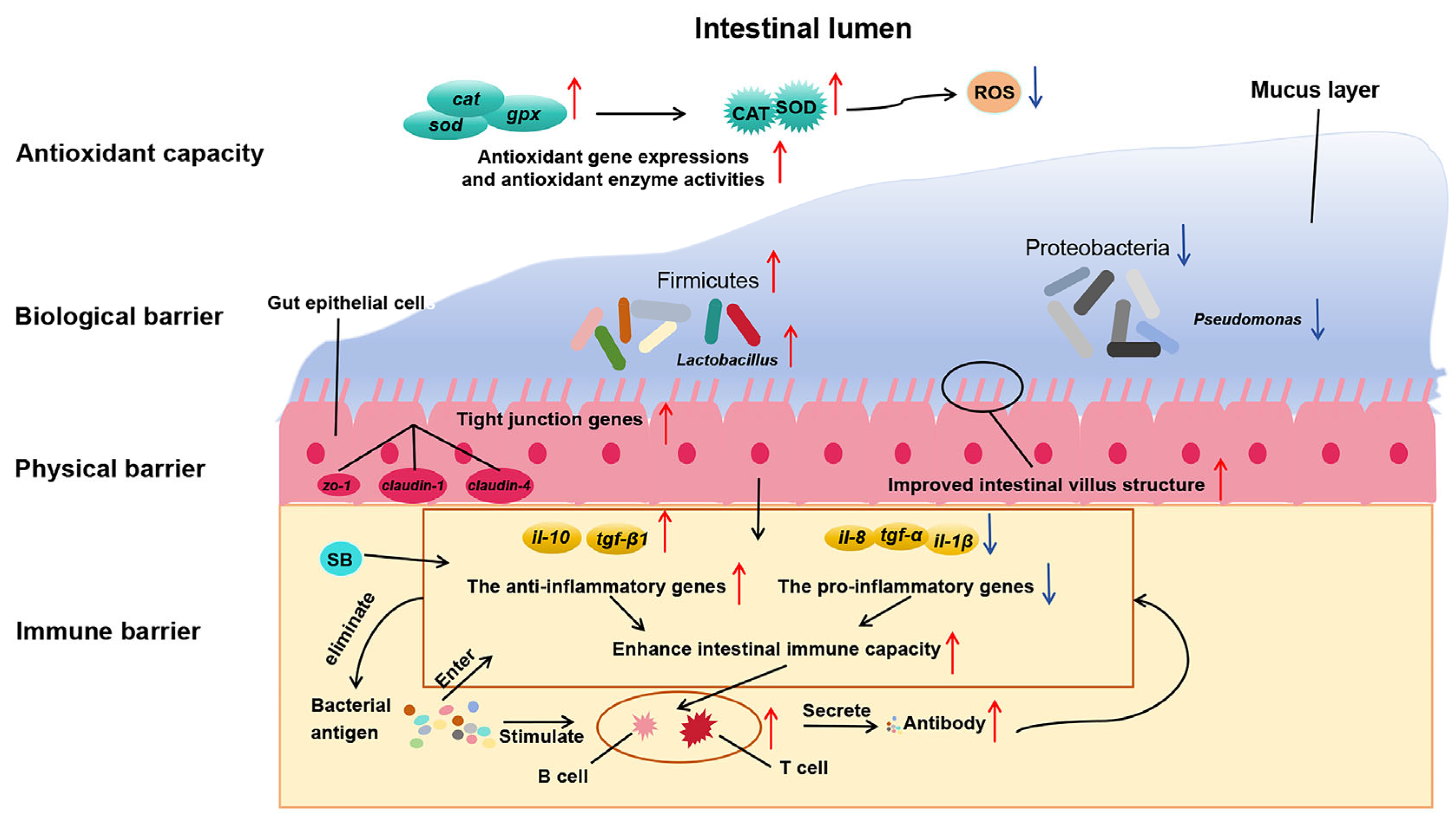 Microorganisms 13 01594 g007