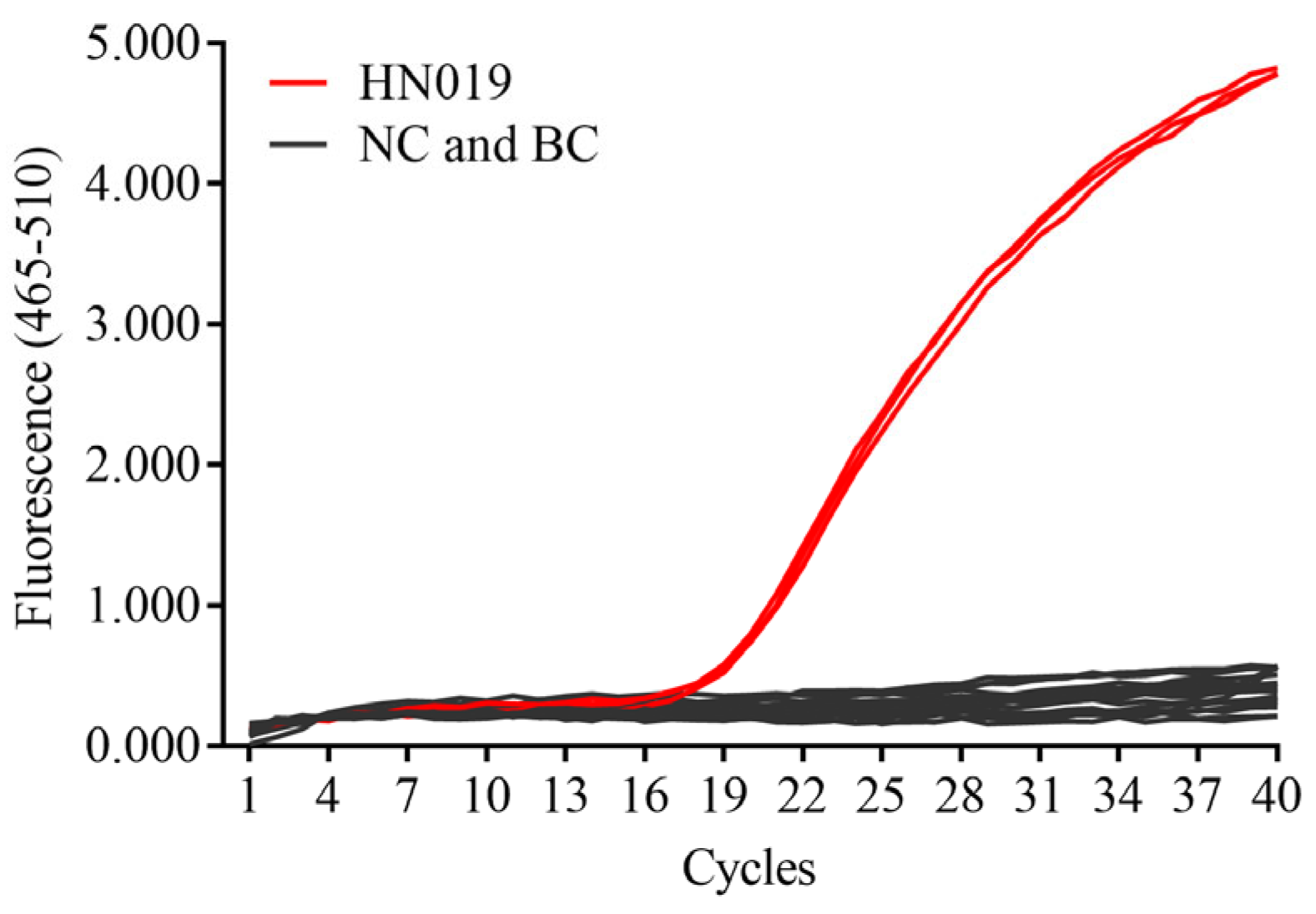 Microorganisms 13 01596 g001