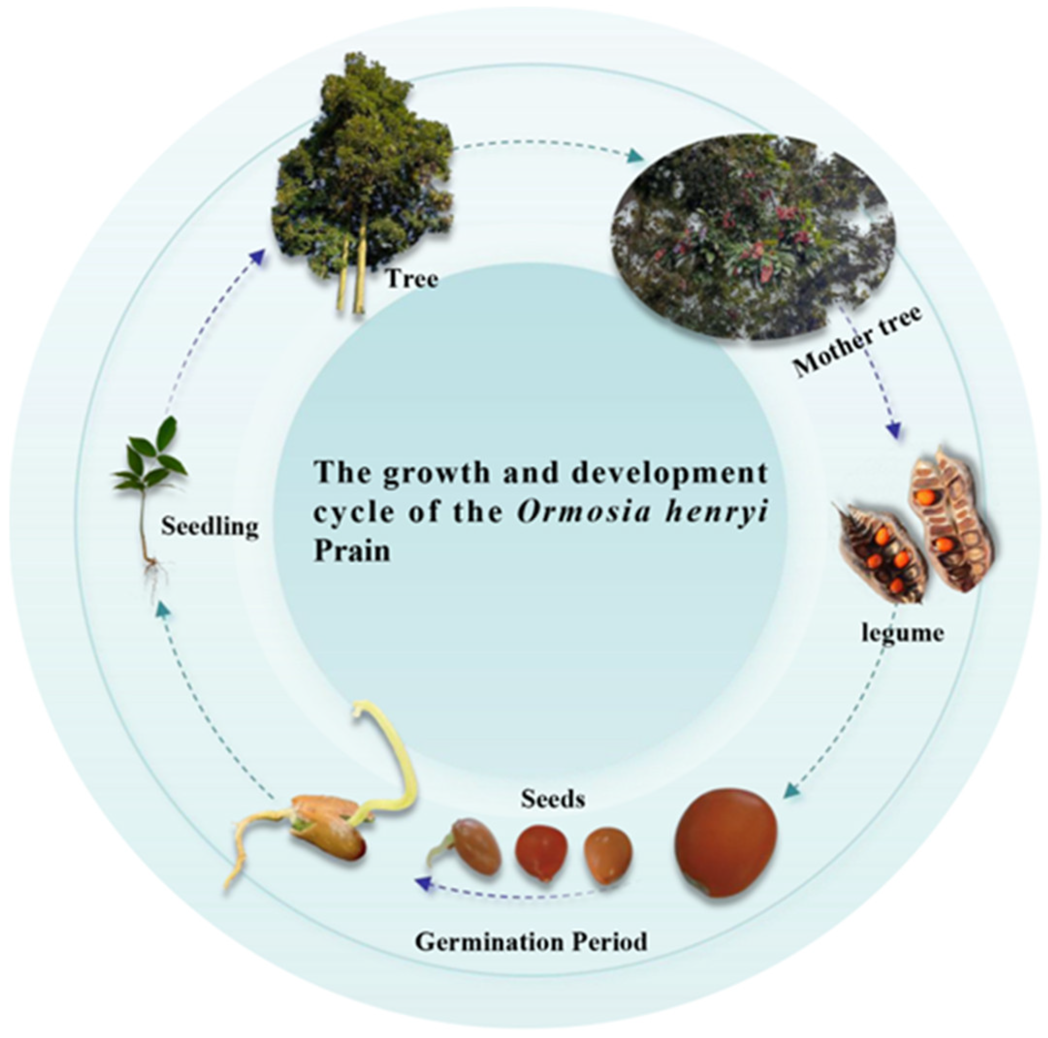 Microorganisms 13 01598 g001
