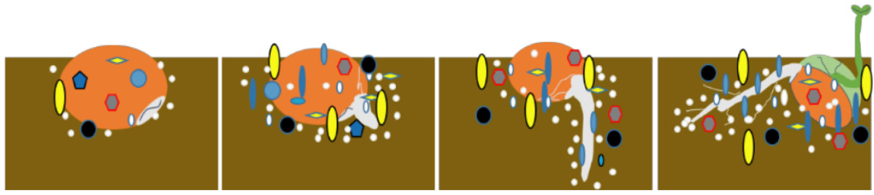 Microorganisms 13 01598 g002