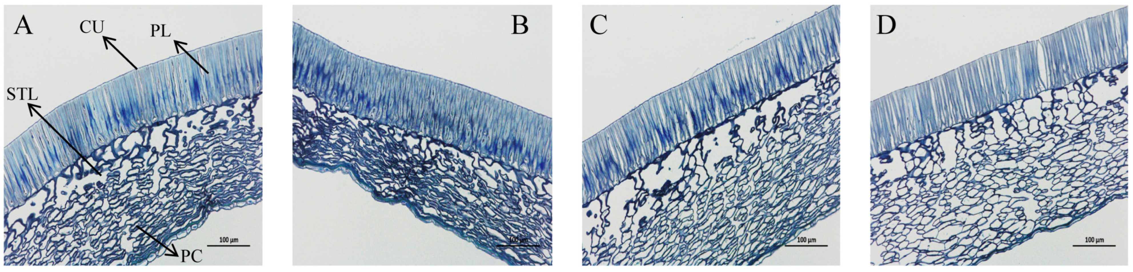 Microorganisms 13 01598 g003