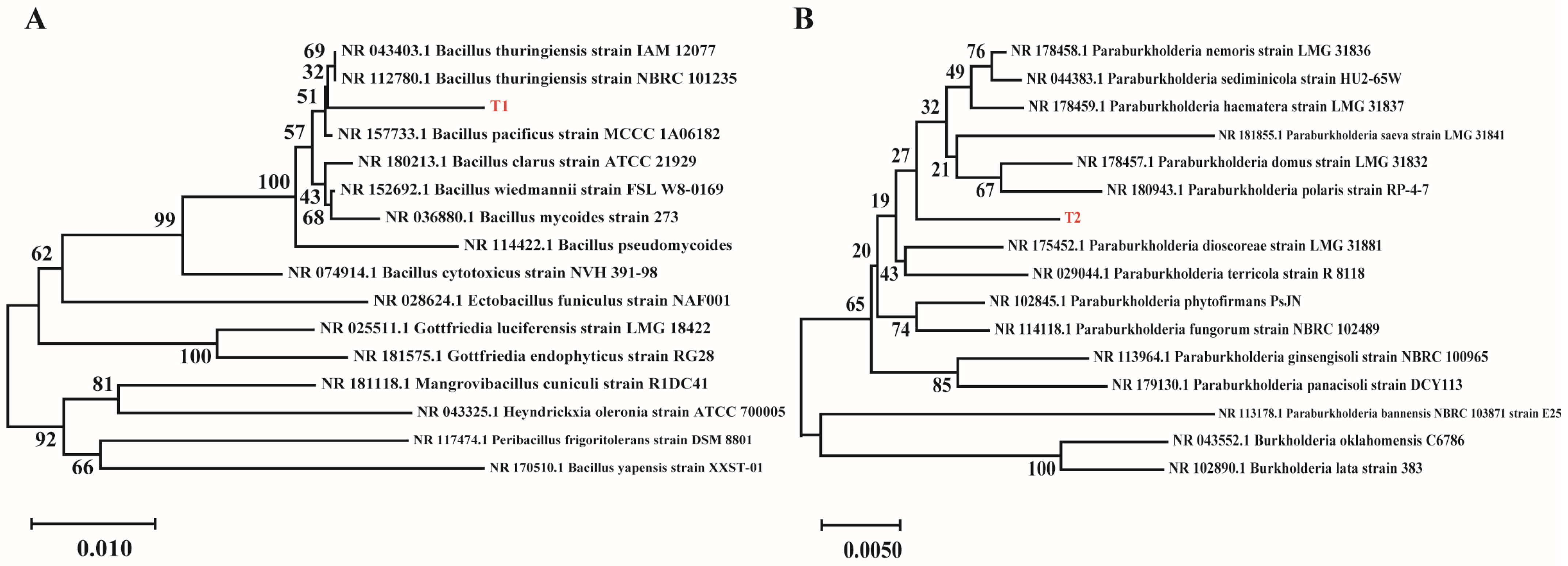 Microorganisms 13 01598 g009
