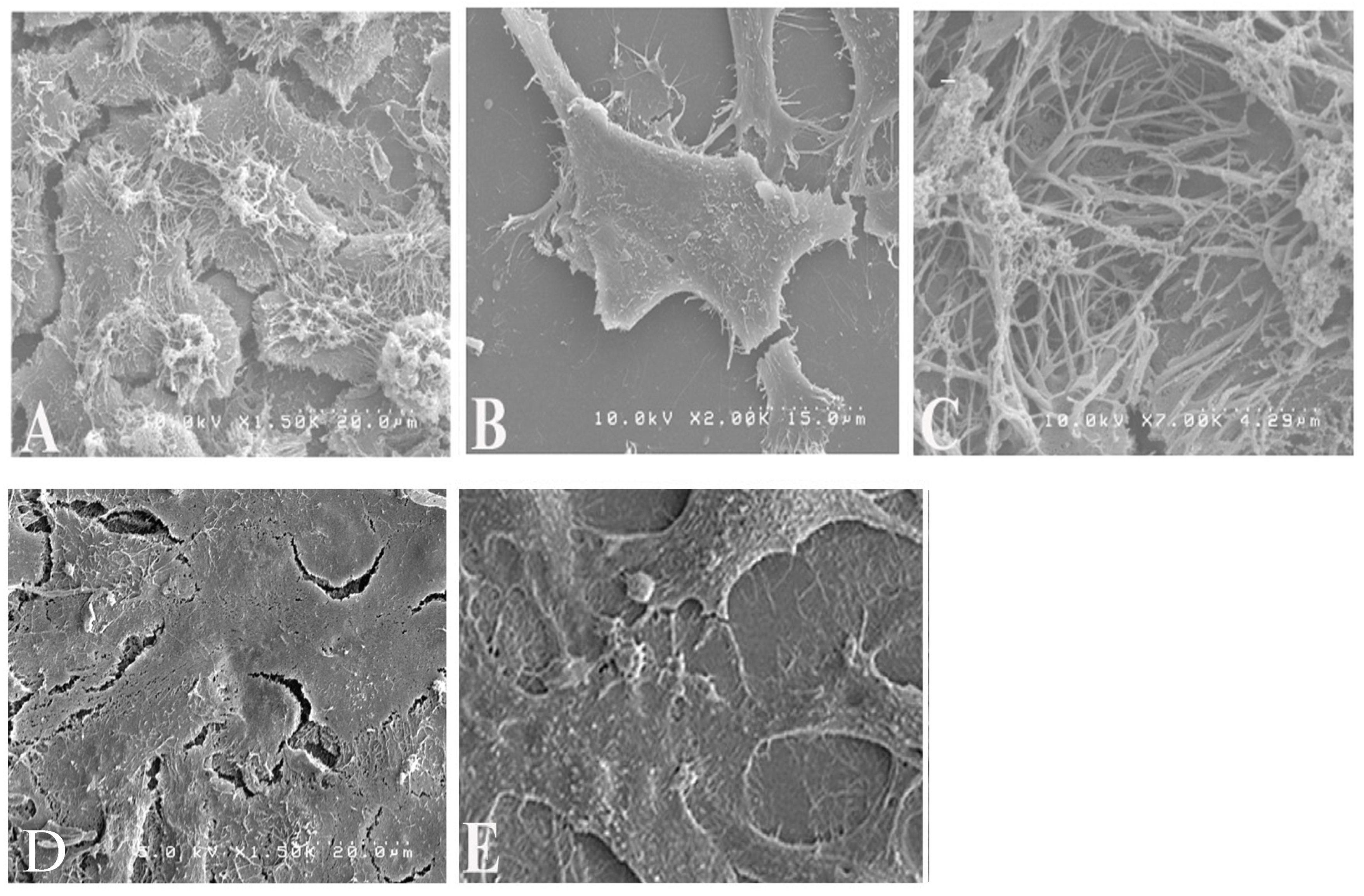 Microorganisms 13 01599 g003