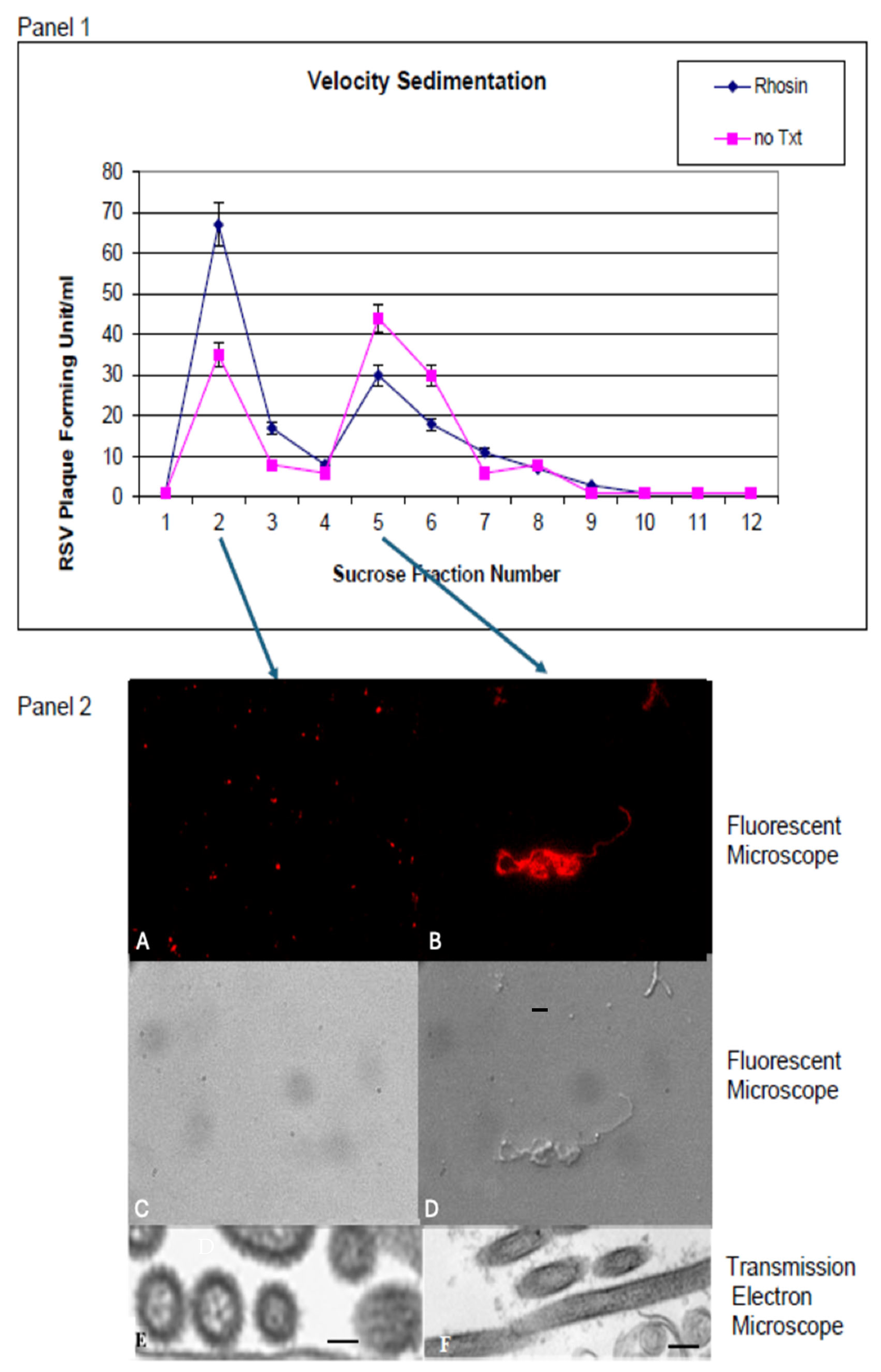 Microorganisms 13 01599 g004