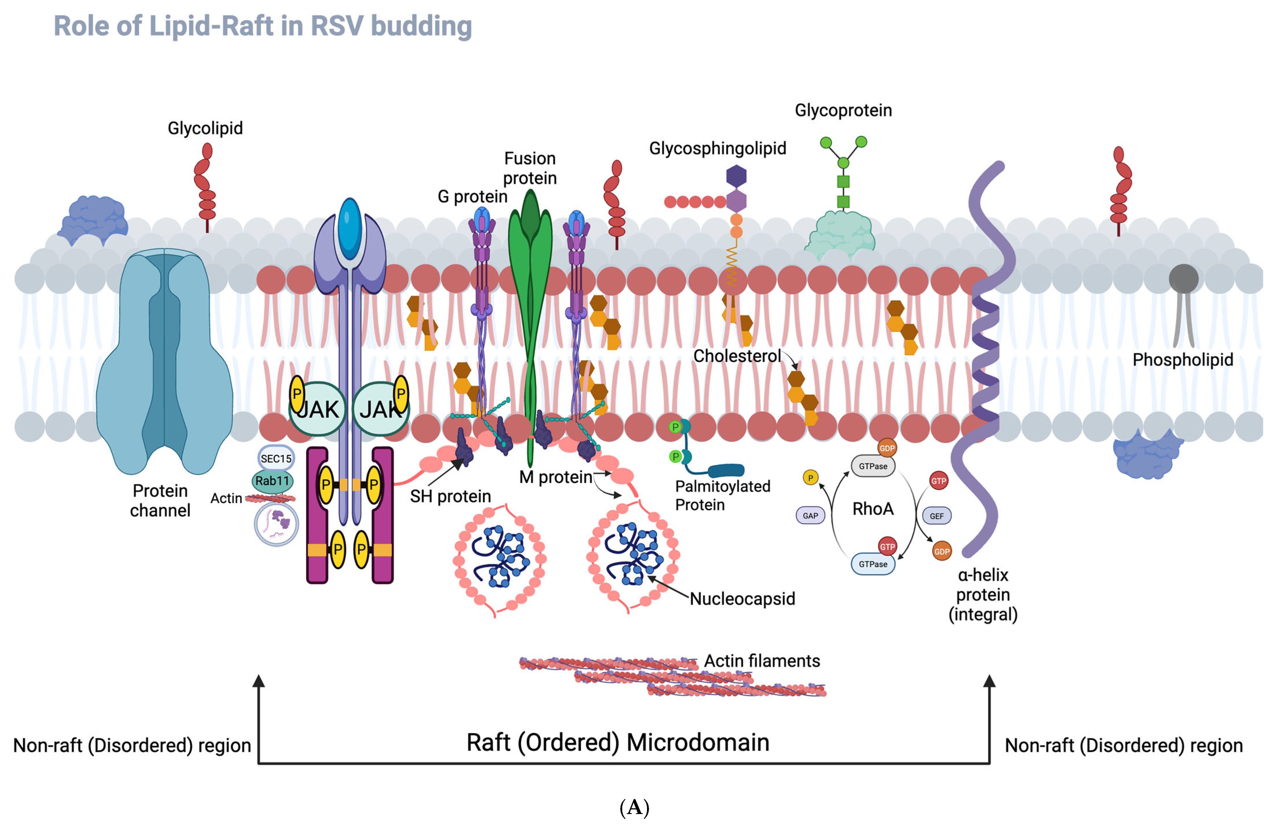 Microorganisms 13 01599 g008a
