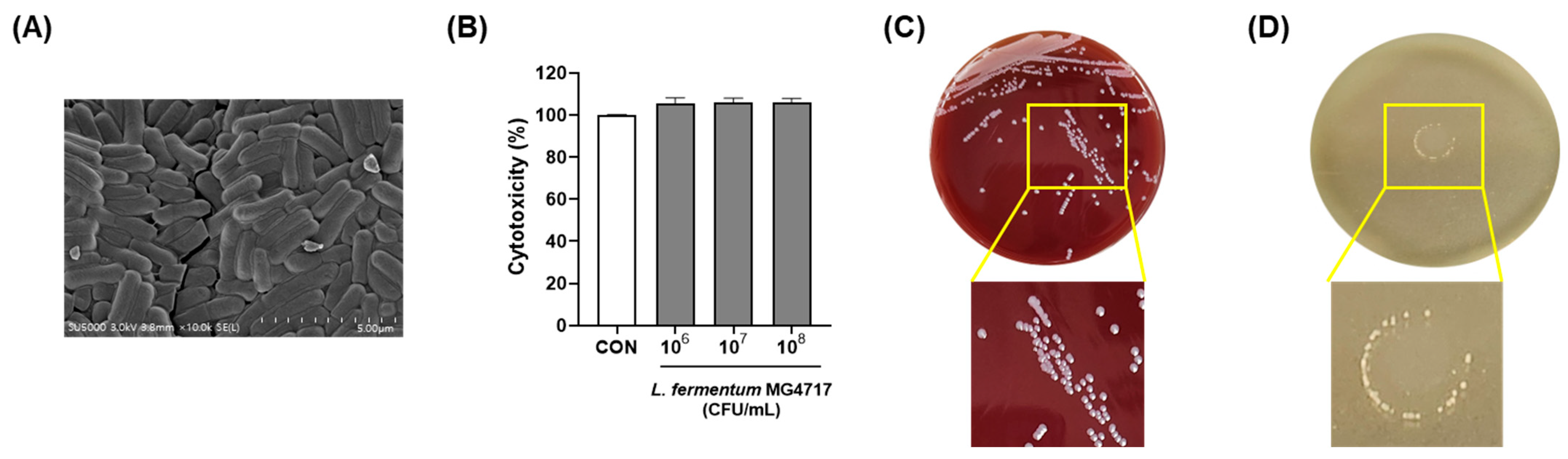 Microorganisms 13 01600 g004