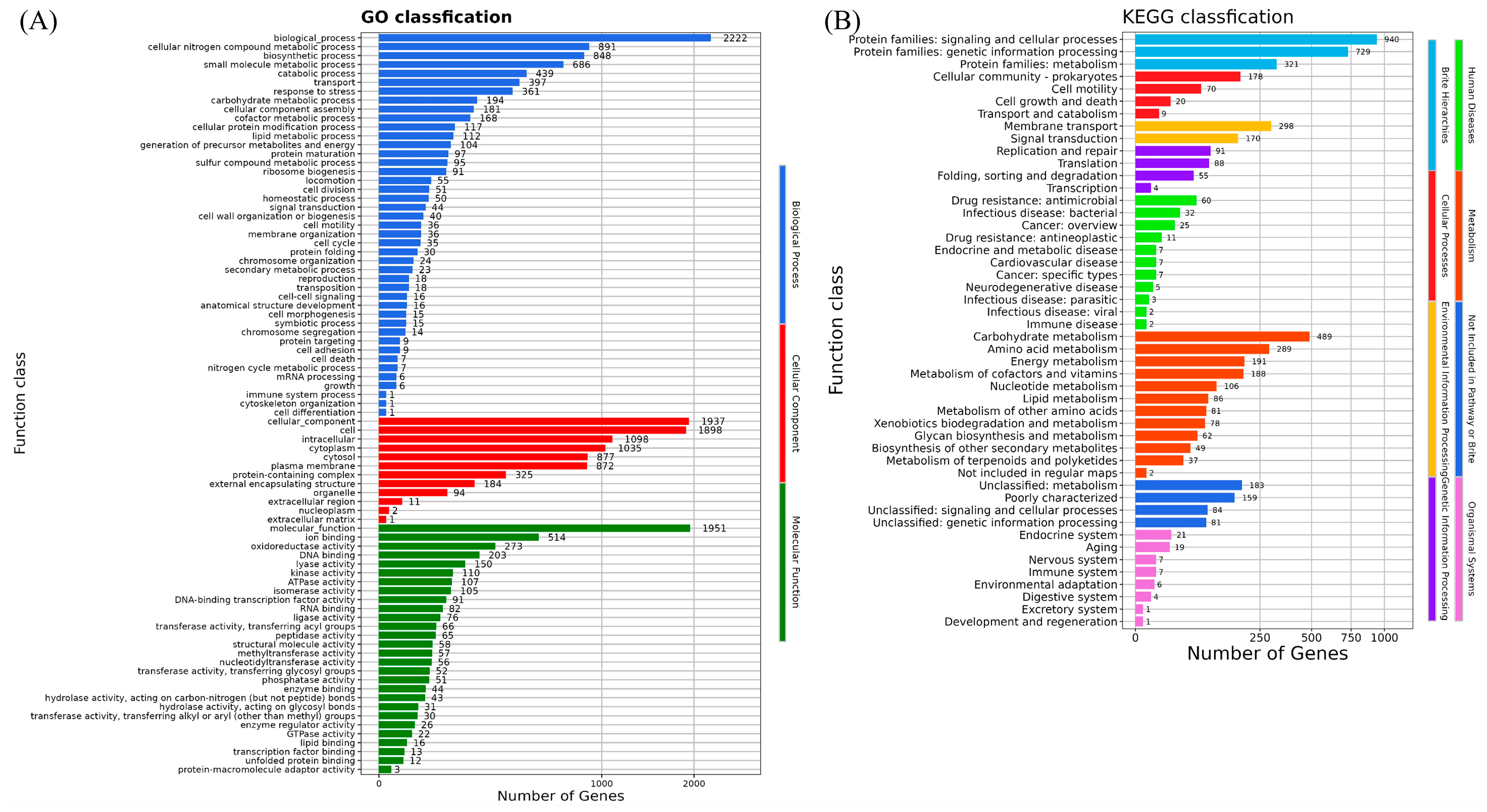 Microorganisms 13 01604 g005