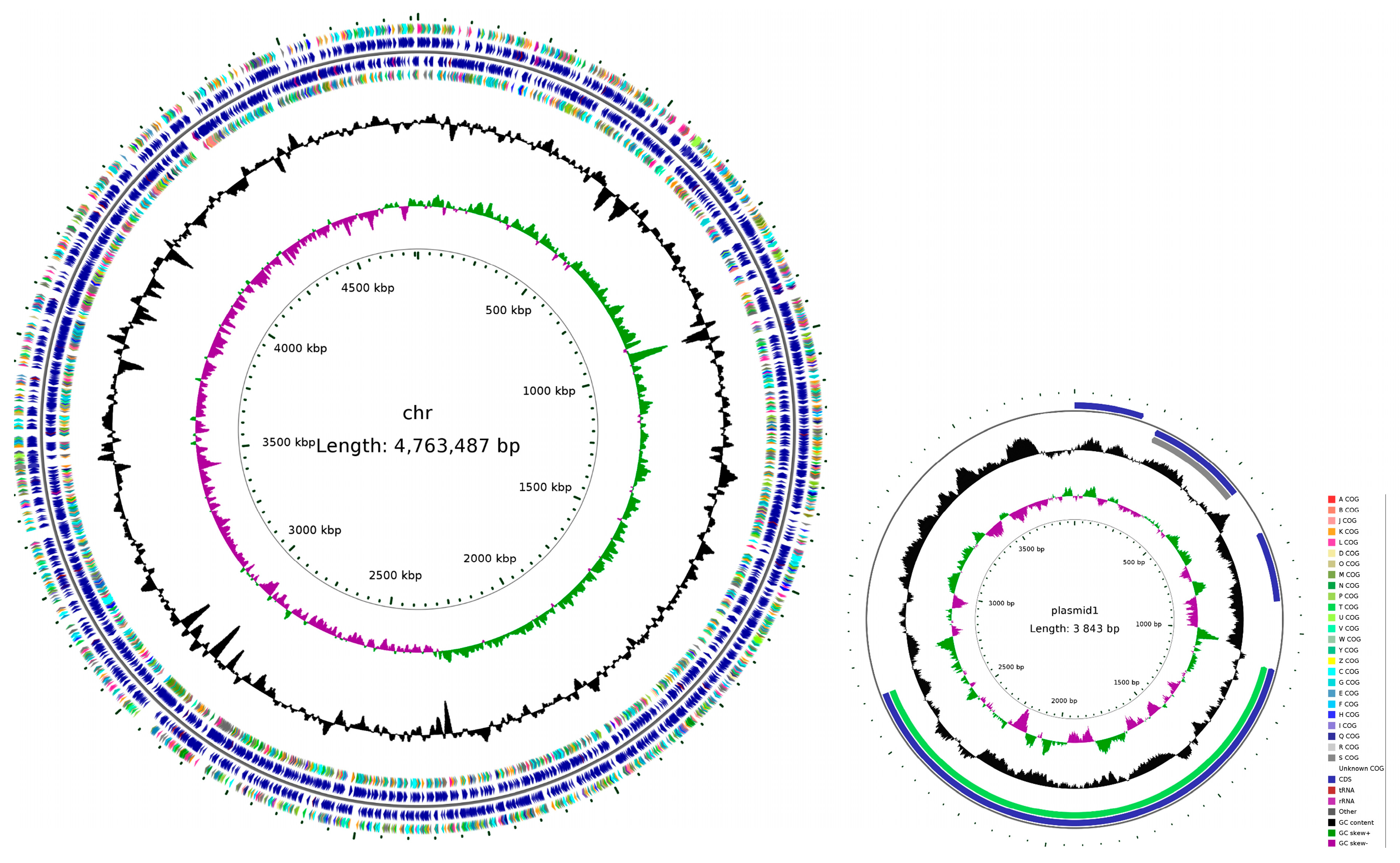 Microorganisms 13 01604 g006