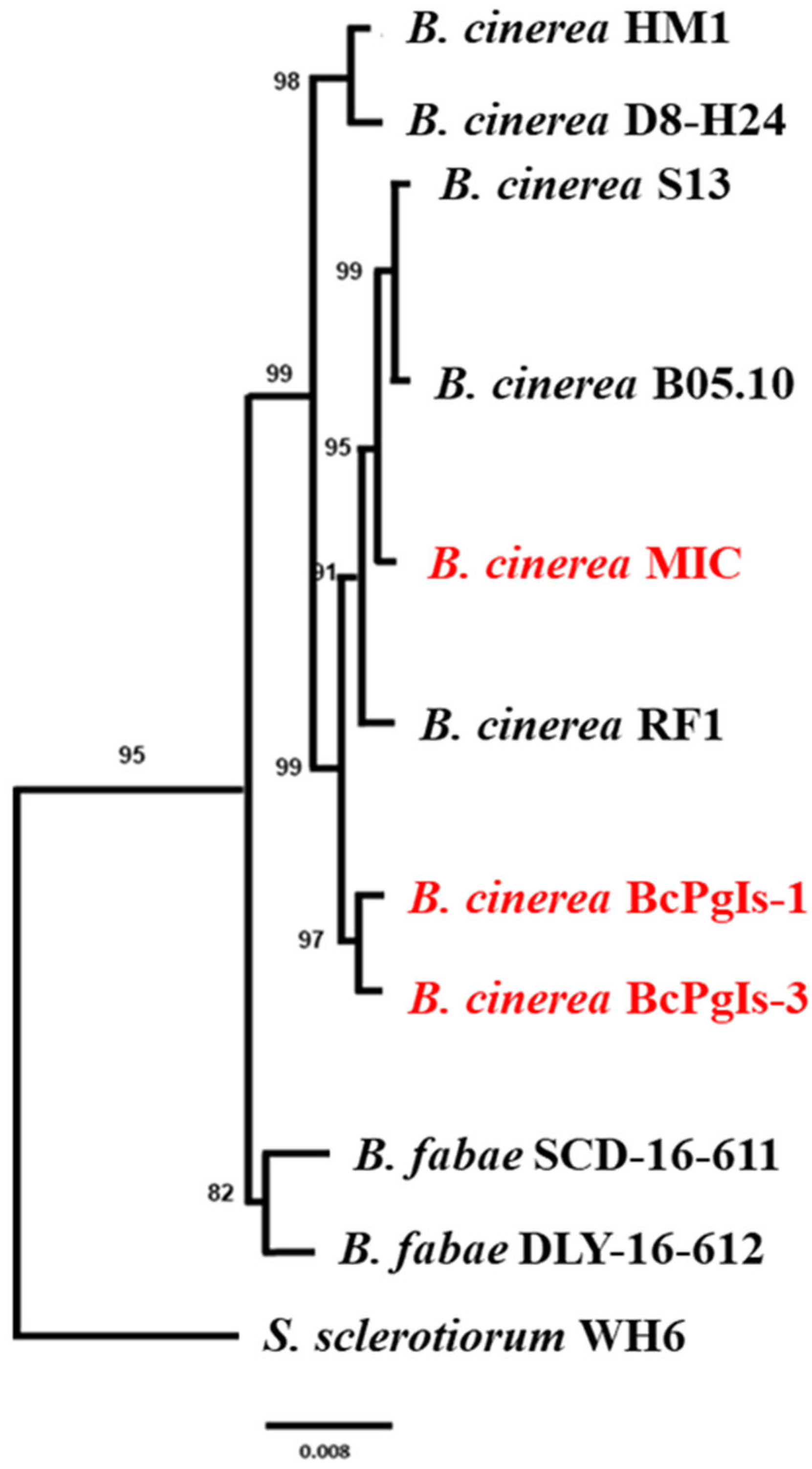 Microorganisms 13 01605 g006