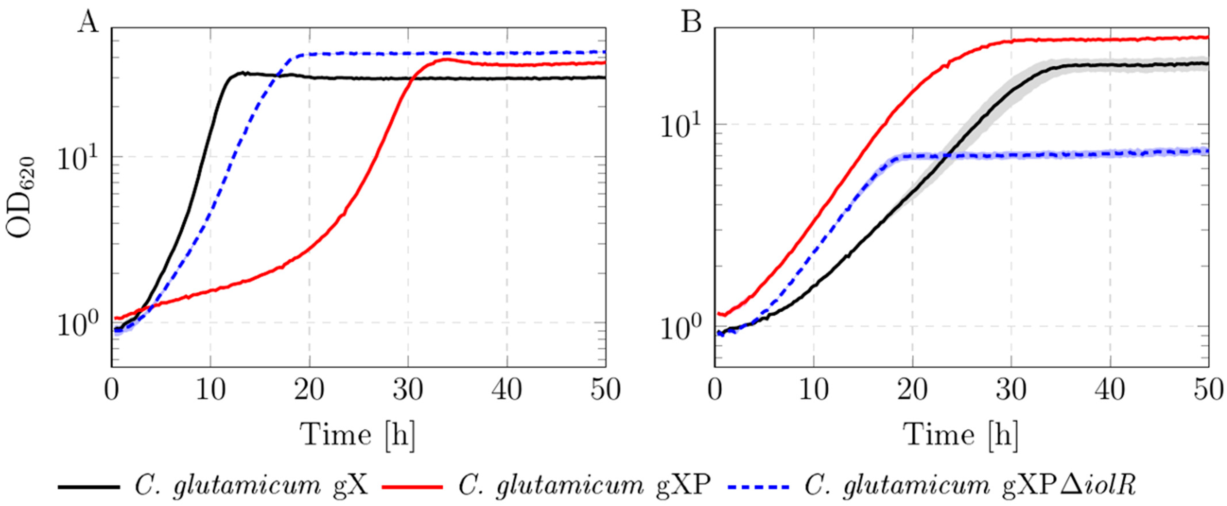 Microorganisms 13 01606 g001