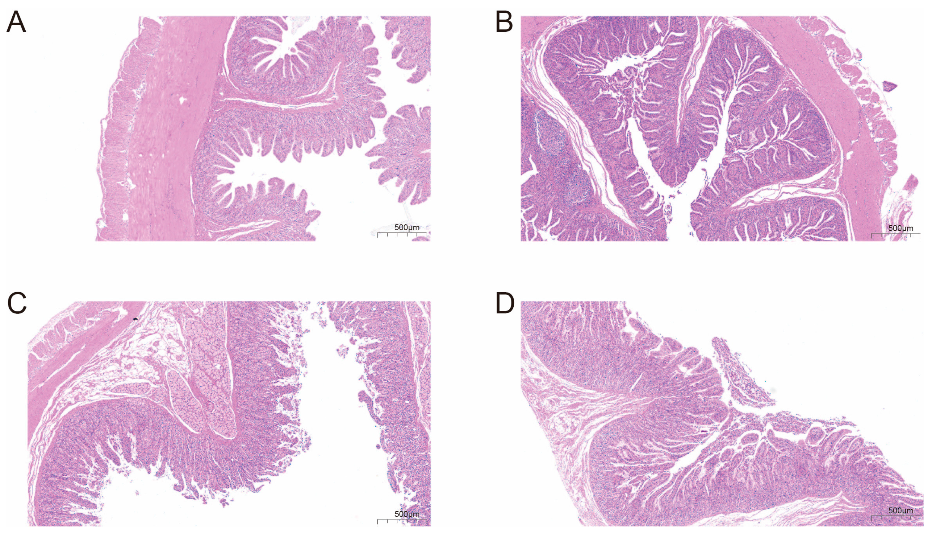 Microorganisms 13 01609 g001